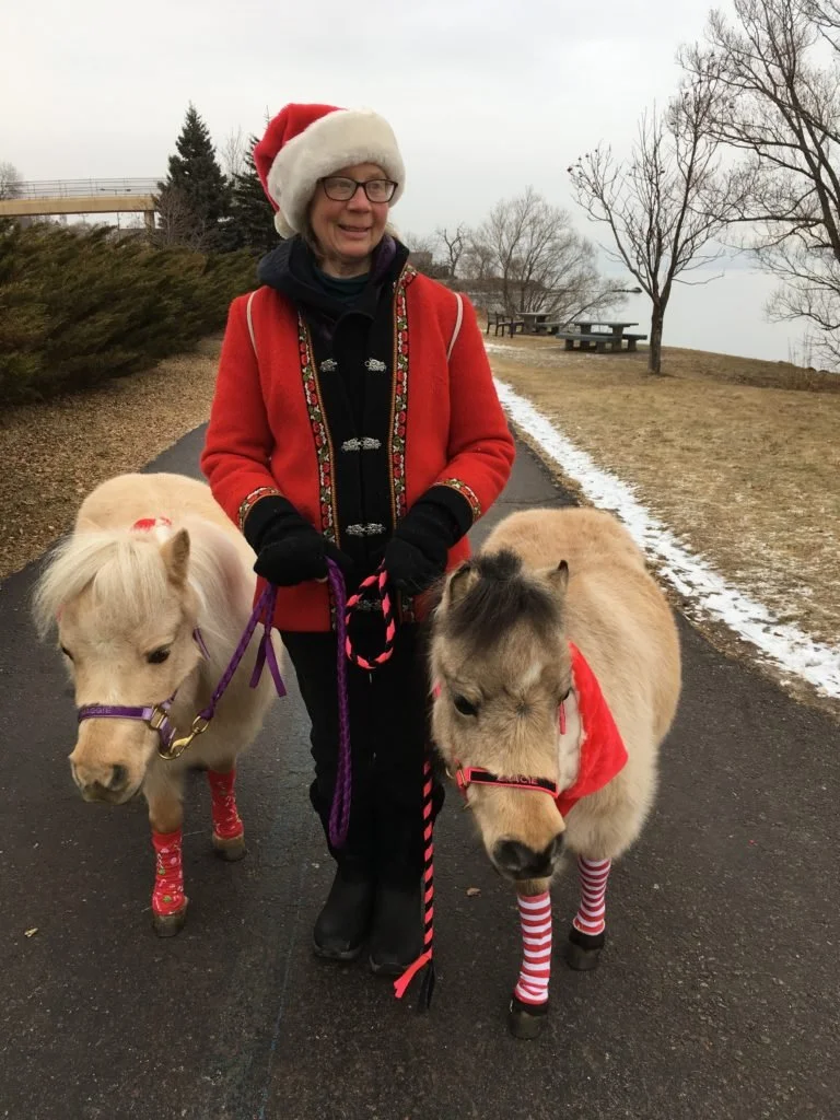 Woman wearing a Santa hat and festive coat walking two mini horses on leashes in a park on a cold day with leafless trees and snow patches.