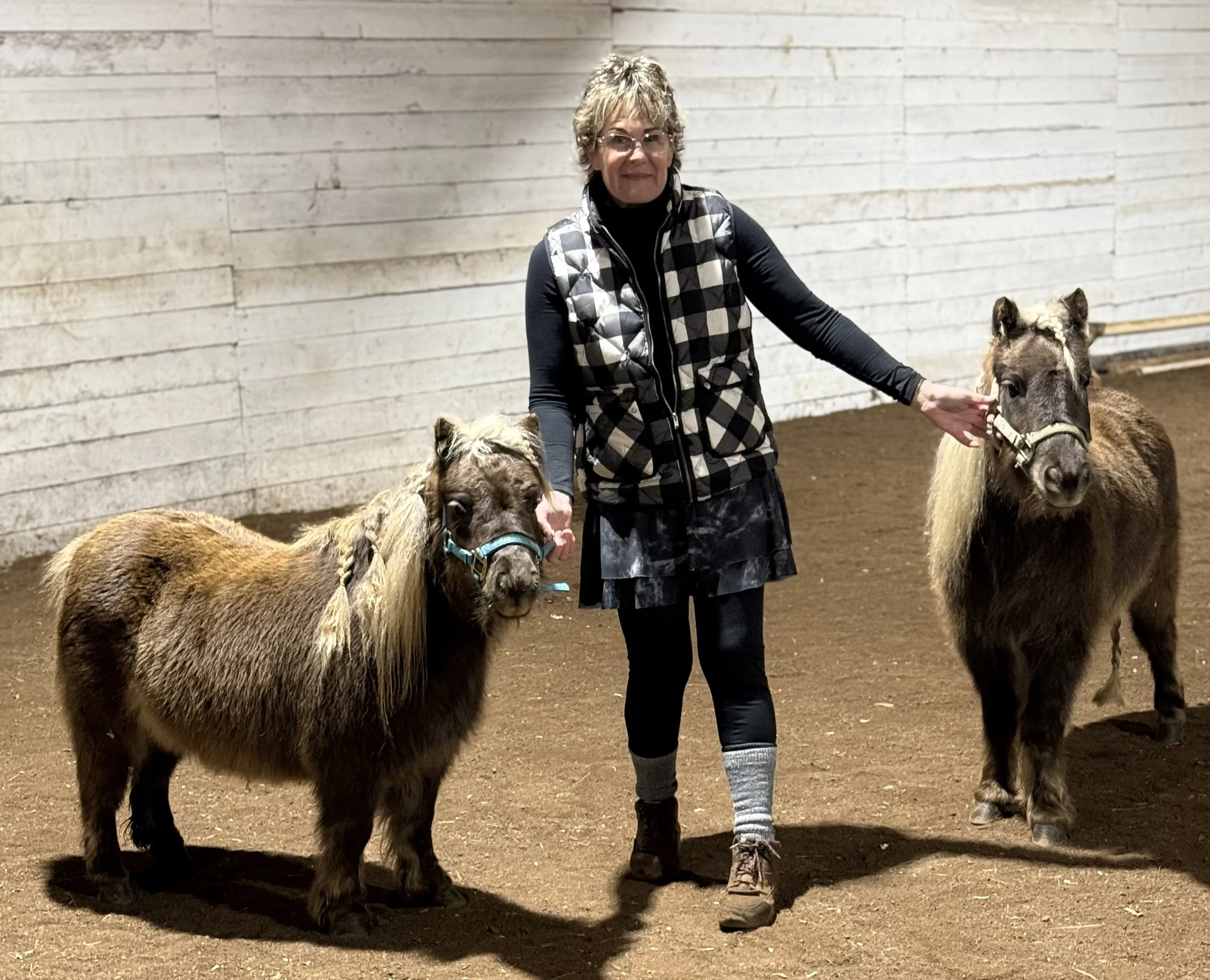 A woman standing in an indoor arena with two miniature horses, holding one on each side with her hands.