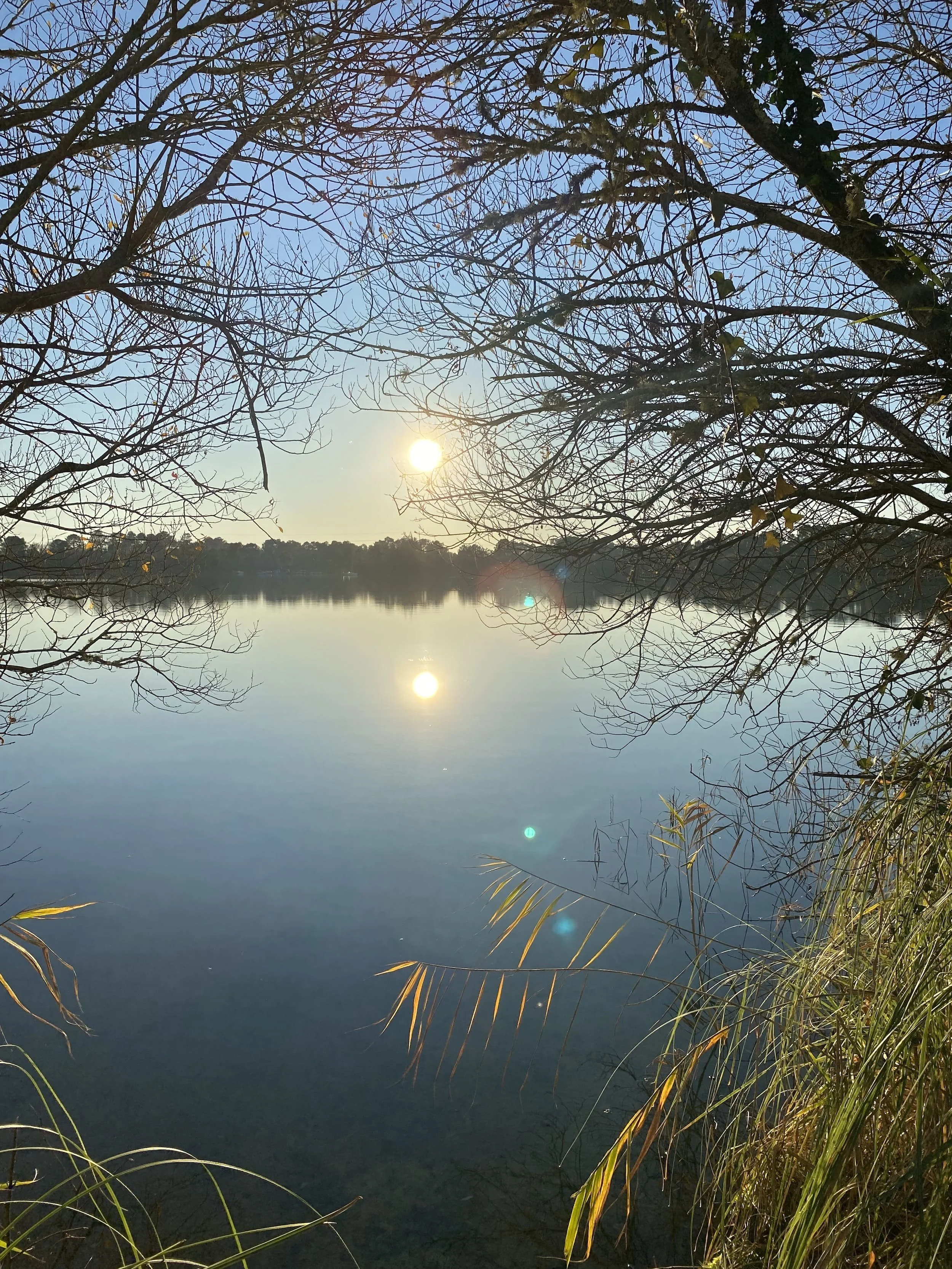 Un lac calme reflète le ciel bleu et le soleil dans un paysage paisible, avec des branches d'arbres dénudées encadrant la scène et de l'herbe sur la rive.