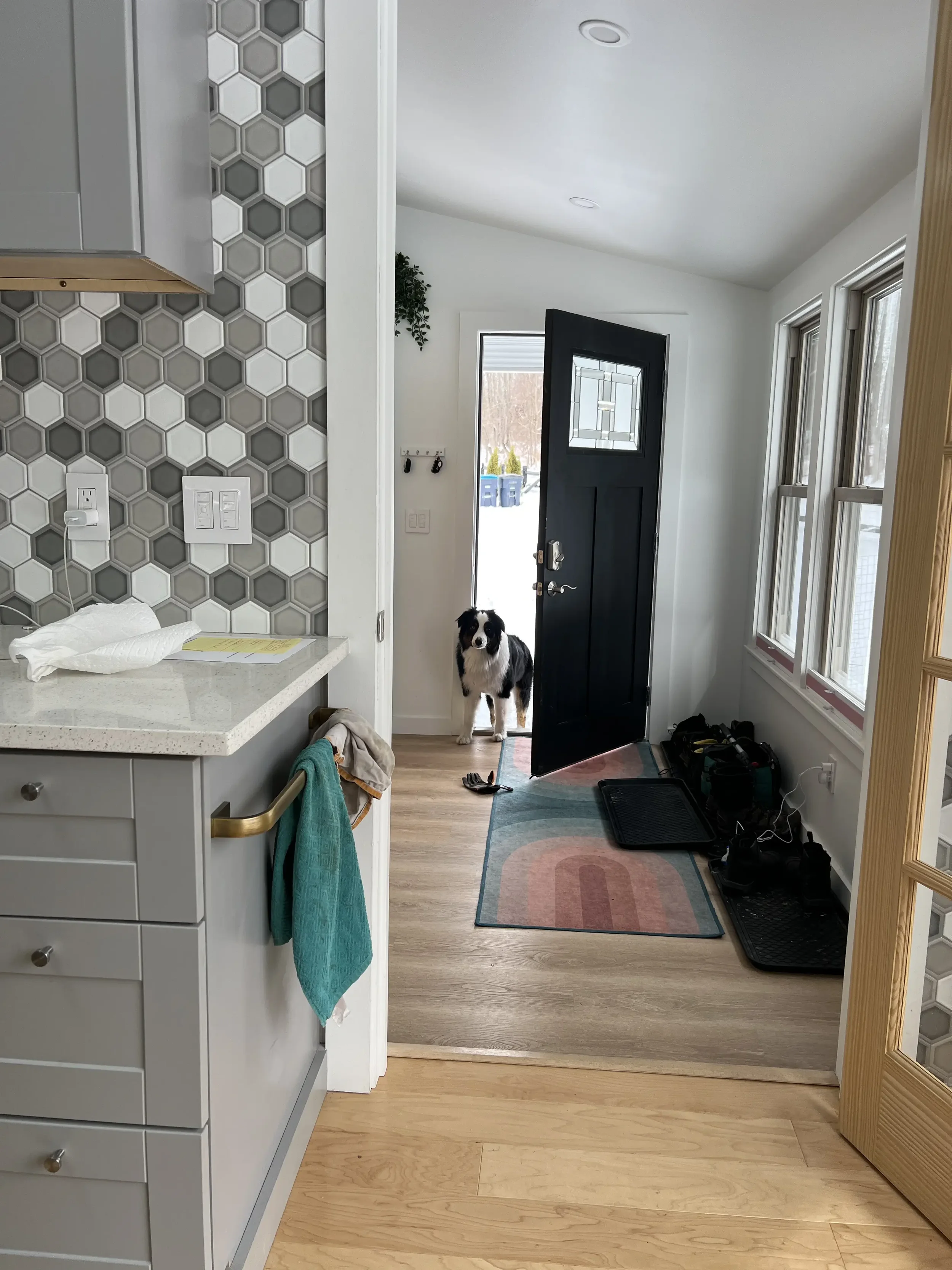 A black and white dog standing at the open front door of a house, with a snowy outdoor scene visible through the doorway. The entryway has a colorful rug, shoes, and a black doormat. The interior includes windows on the right and a kitchen area to th