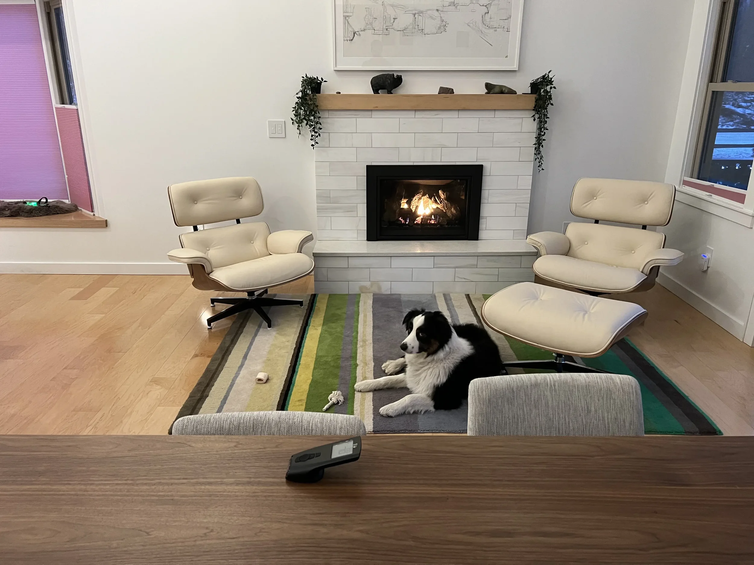 Living room with a fireplace, two white armchairs, a black and white dog lying on a colorful rug, and a fireplace with a fire burning inside.
