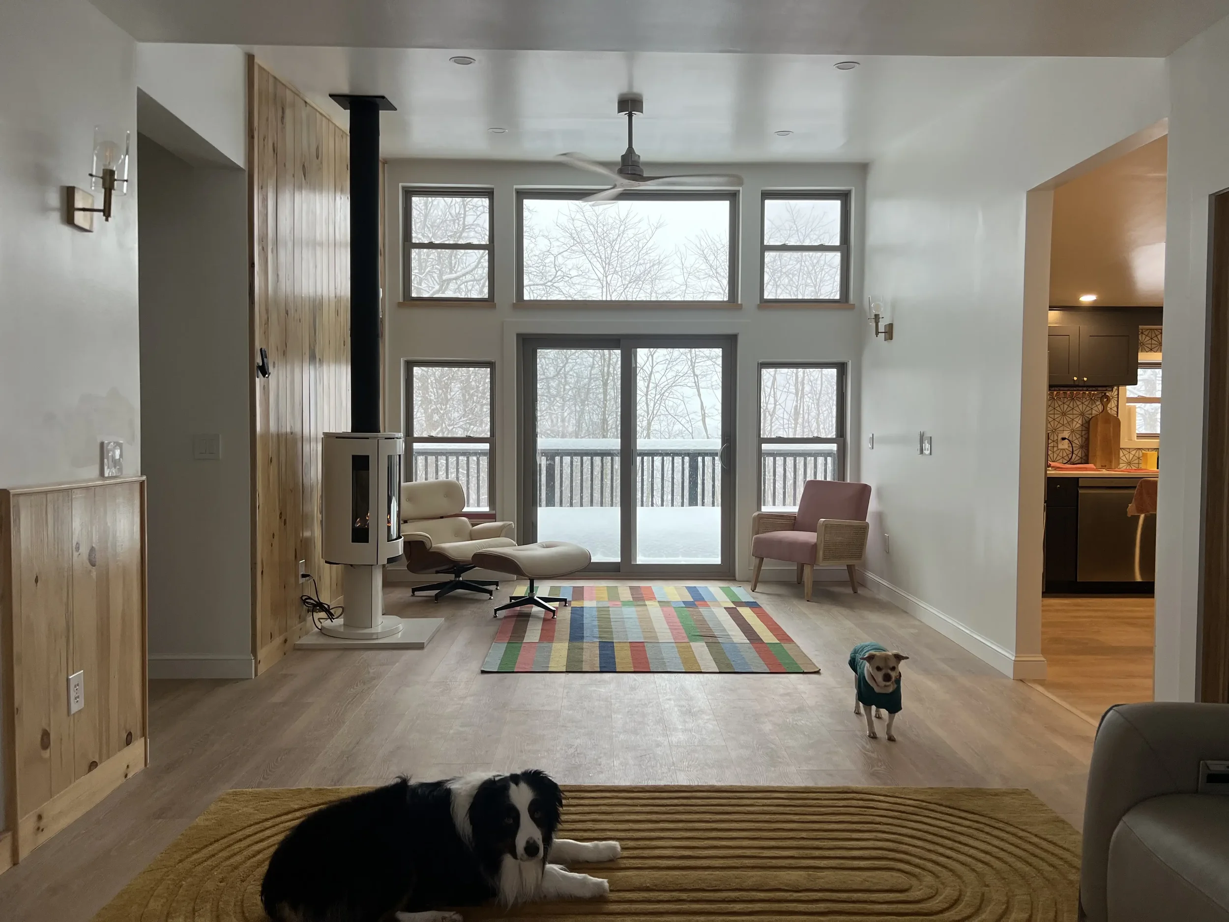 Living room with large windows, view of snow outside, two dogs, a black and white dog lying on a yellow rug, and a small dog standing on the floor.