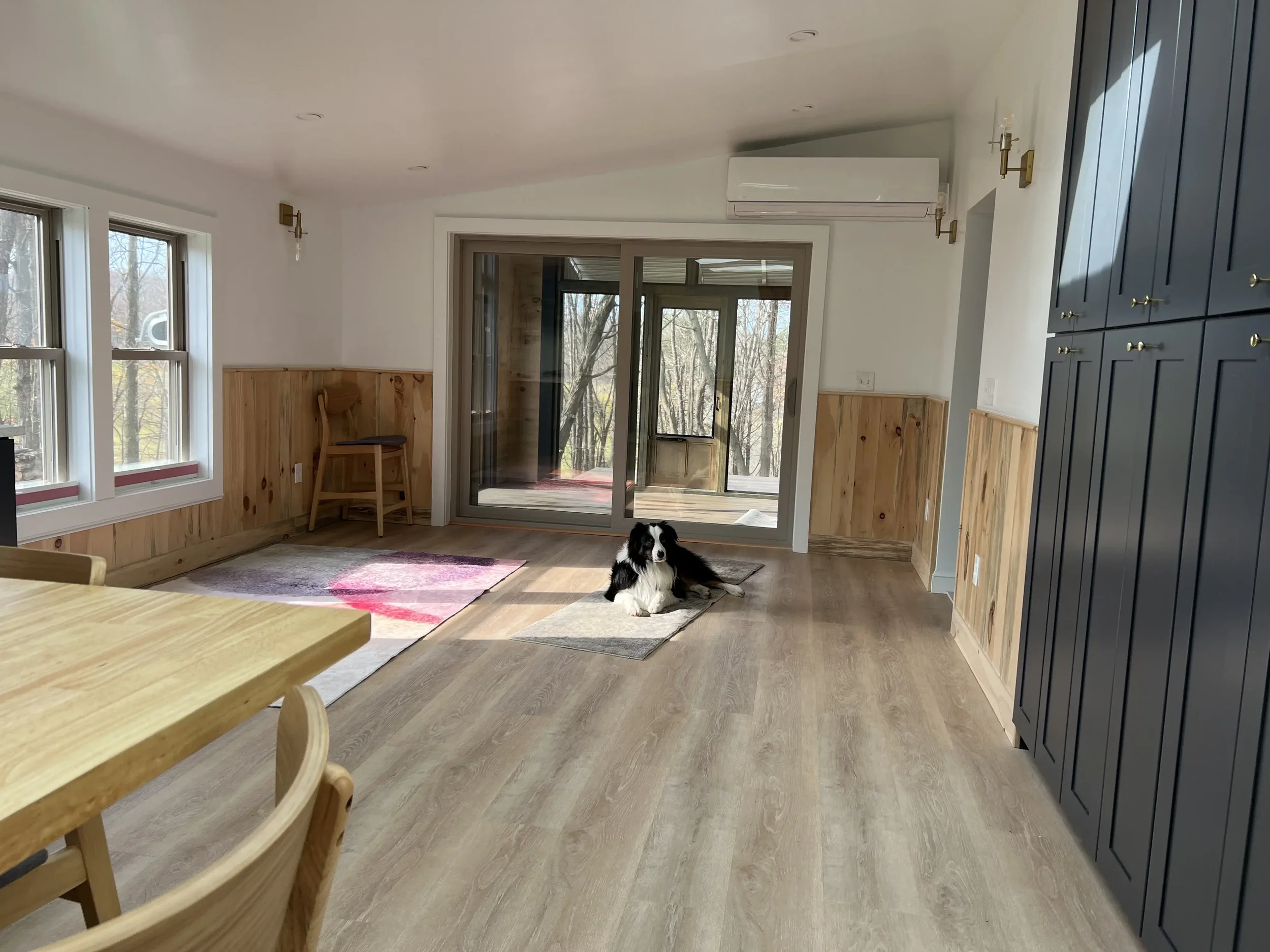 Living room with wood paneling halfway up the walls, a dog lying on a small rug near sliding glass doors leading to a deck, and large windows with a tree outside, with a wooden chair in the corner and a navy blue cabinet on the right.
