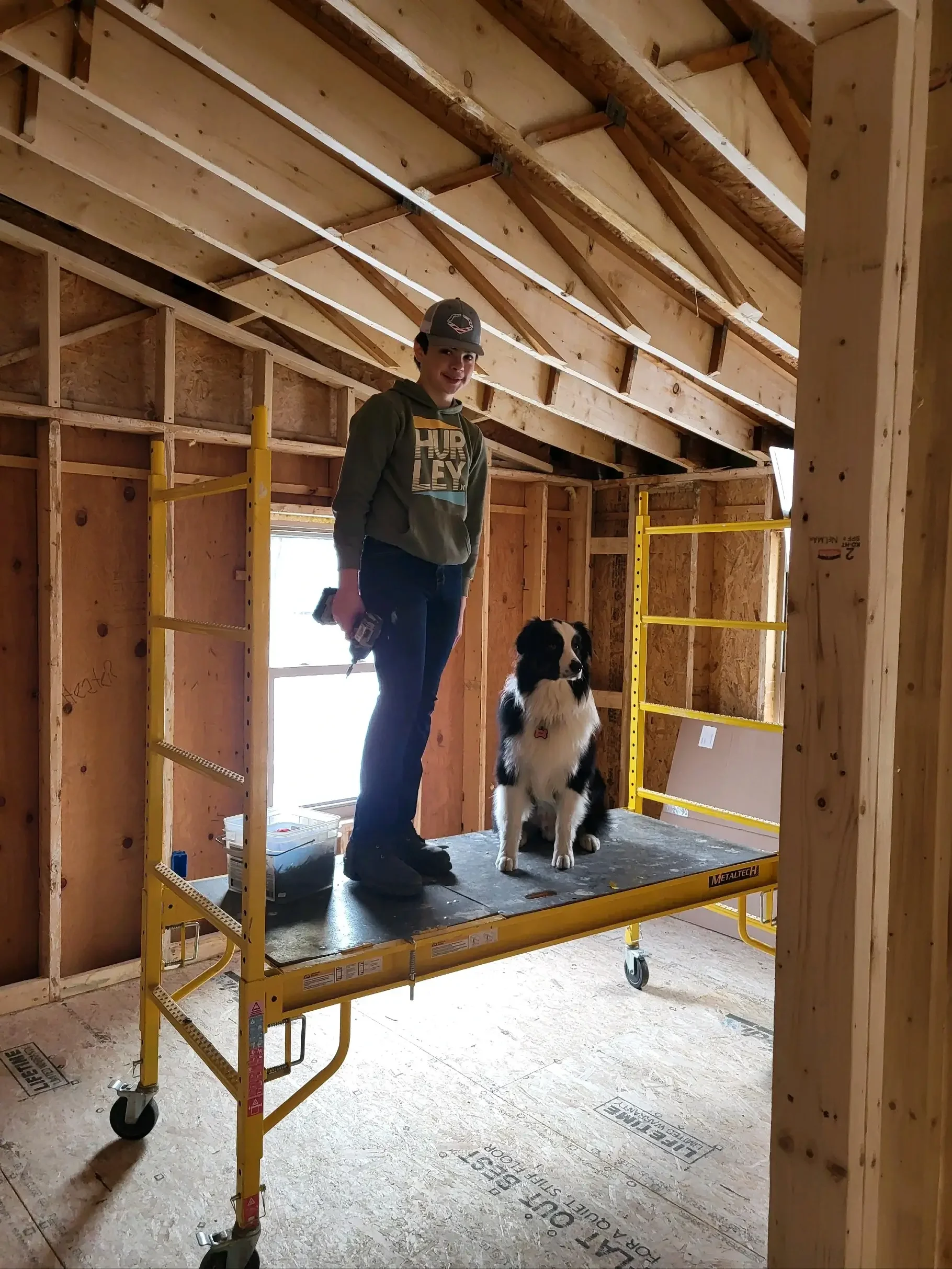 A boy and a dog standing on a scaffold inside a house under construction, with exposed wooden framing and a window in the background.