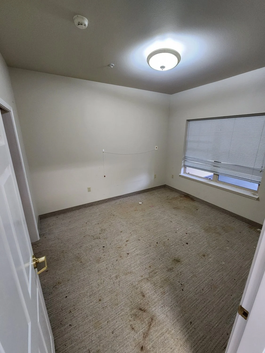 Empty room with stained beige carpet, white walls, a window with closed blinds, and a ceiling light fixture.