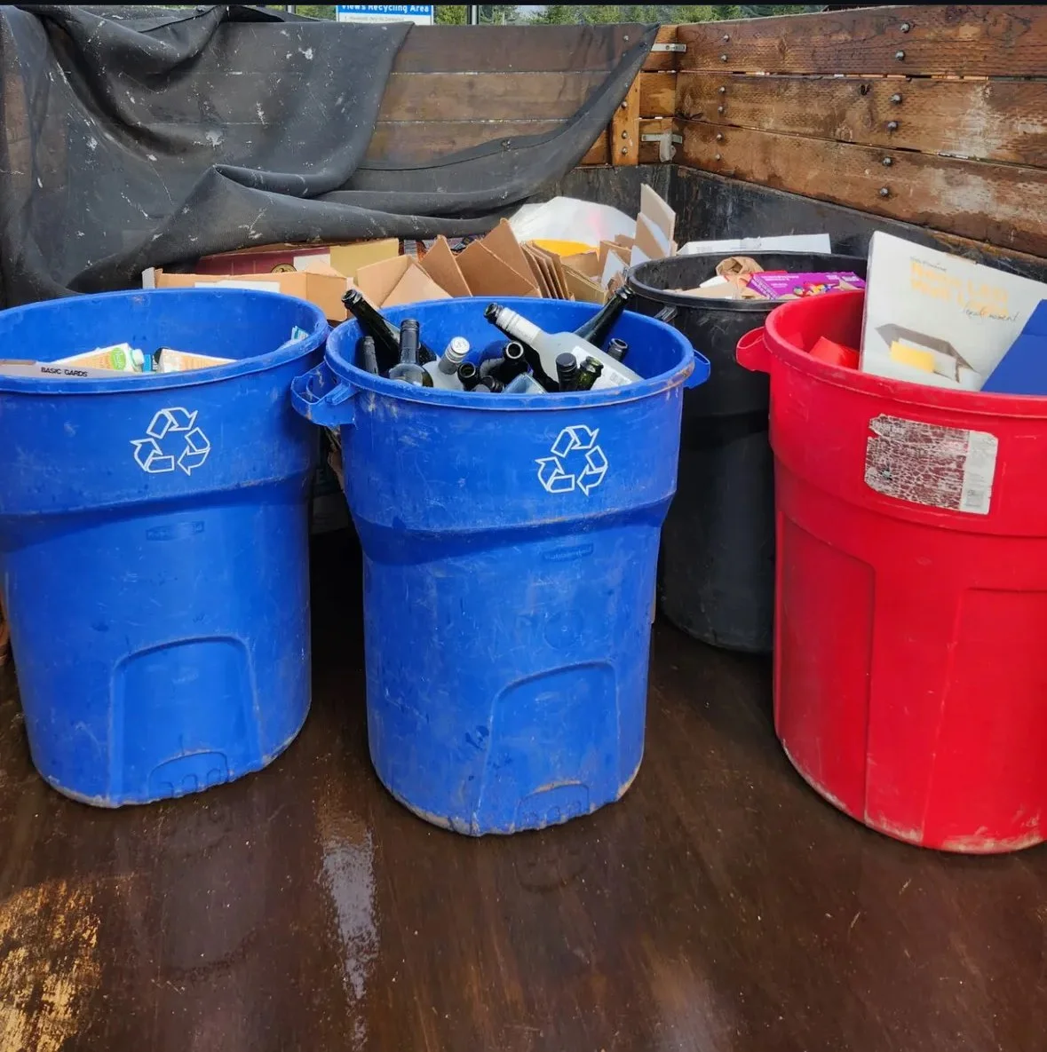 Recycling bins.jpeg
