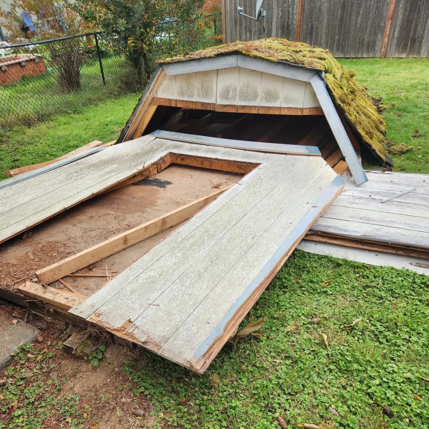 small shed removal