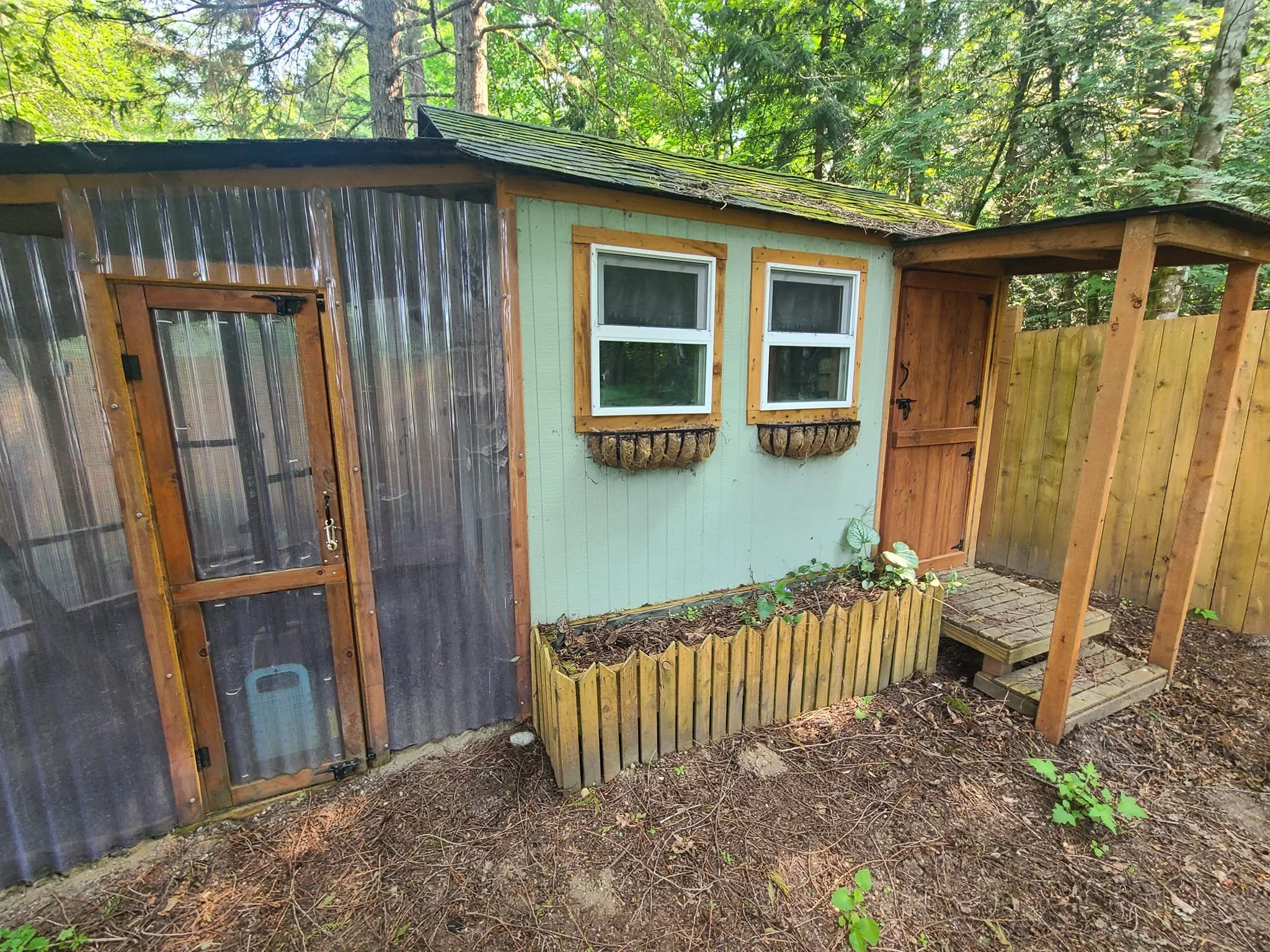 Wooden outdoor shed with a corrugated roof, containing various pieces of wood, a green wheelie bin, ladders, and miscellaneous tools on a gravel floor.