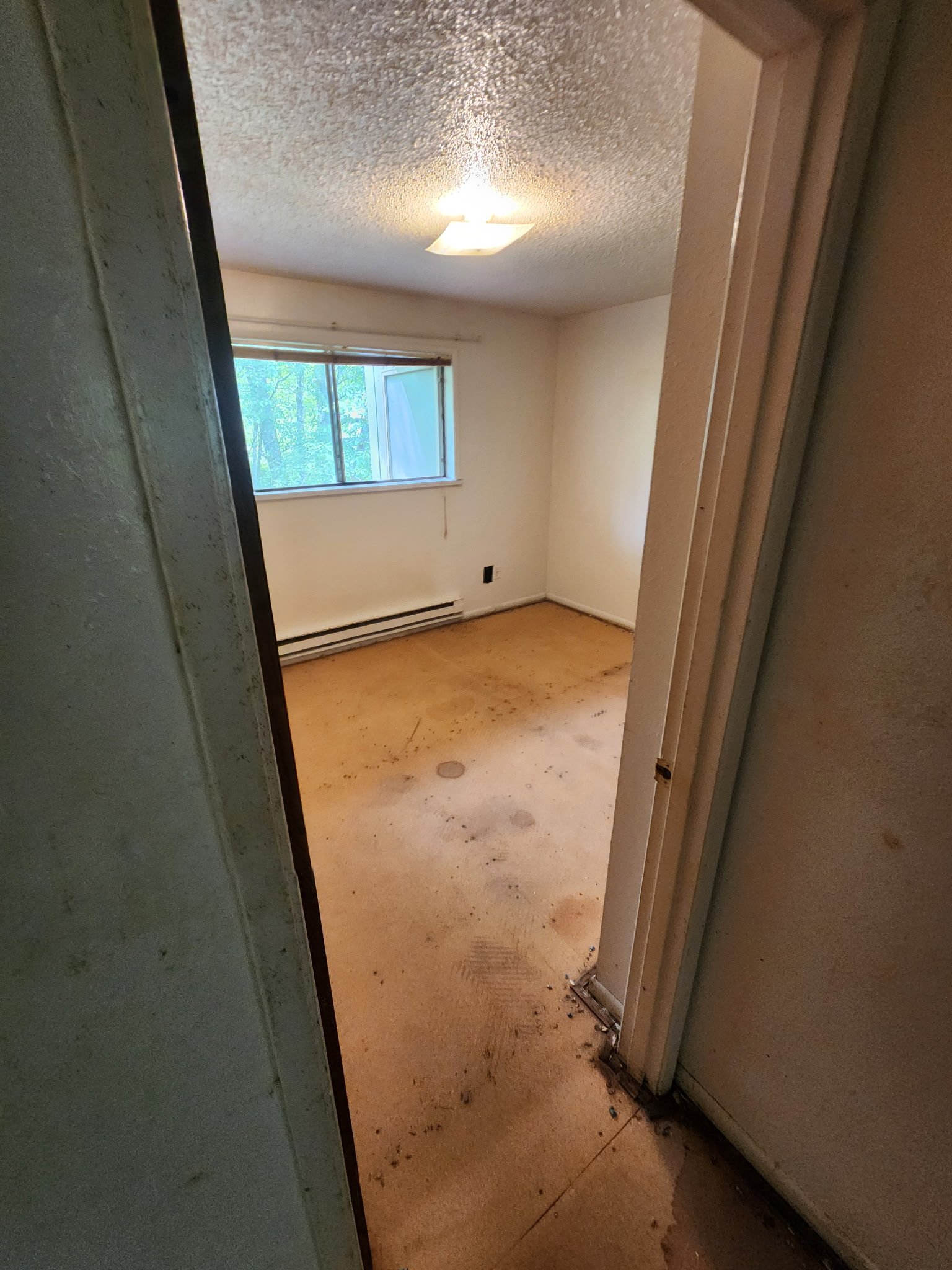 Empty room with a window showing outdoor trees, a ceiling light, and dirt or debris on the floor near the doorway.