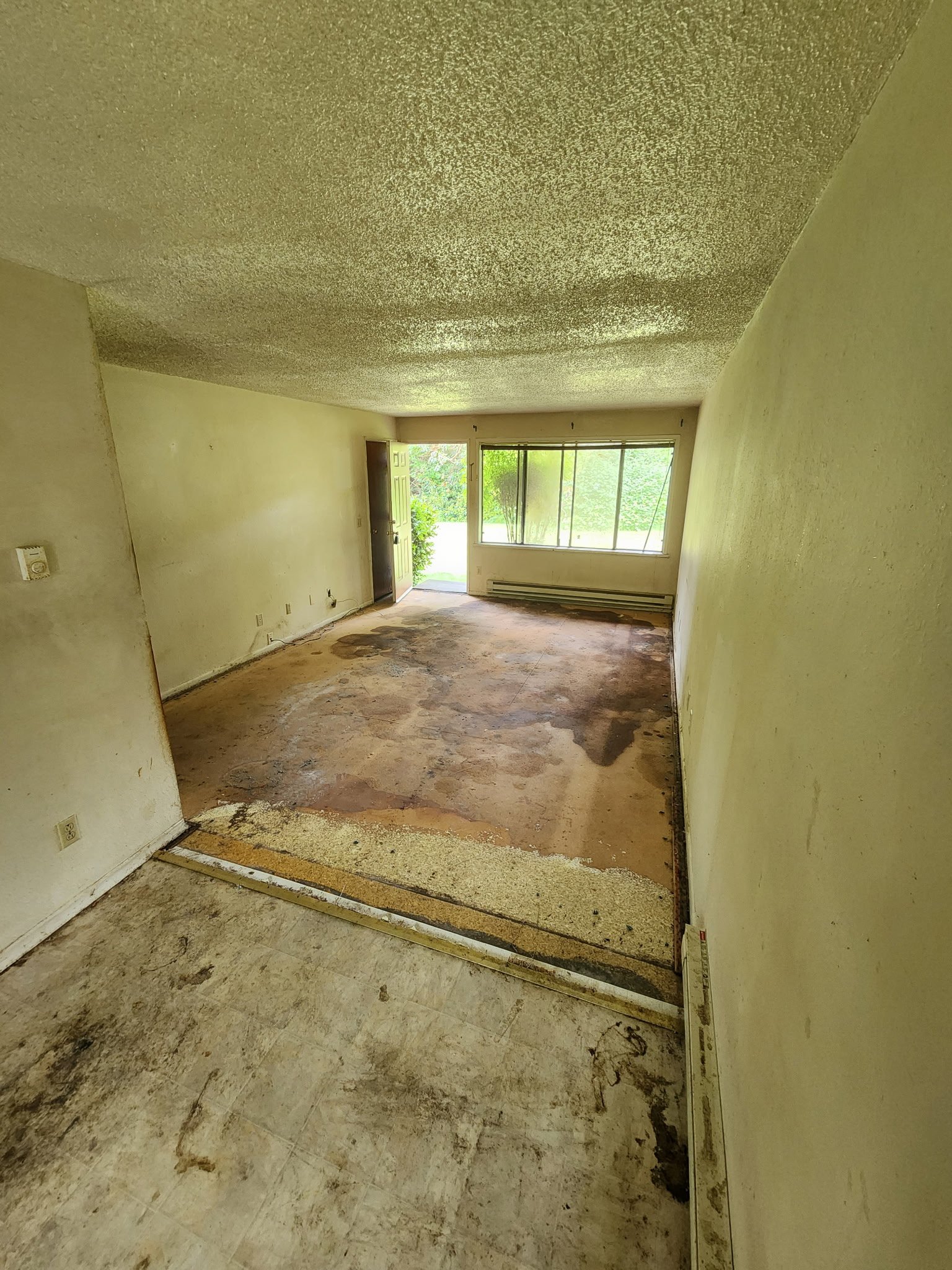 Empty room with damaged carpet, stained floor, and peeling walls. Large window and open door lead to outside greenery.