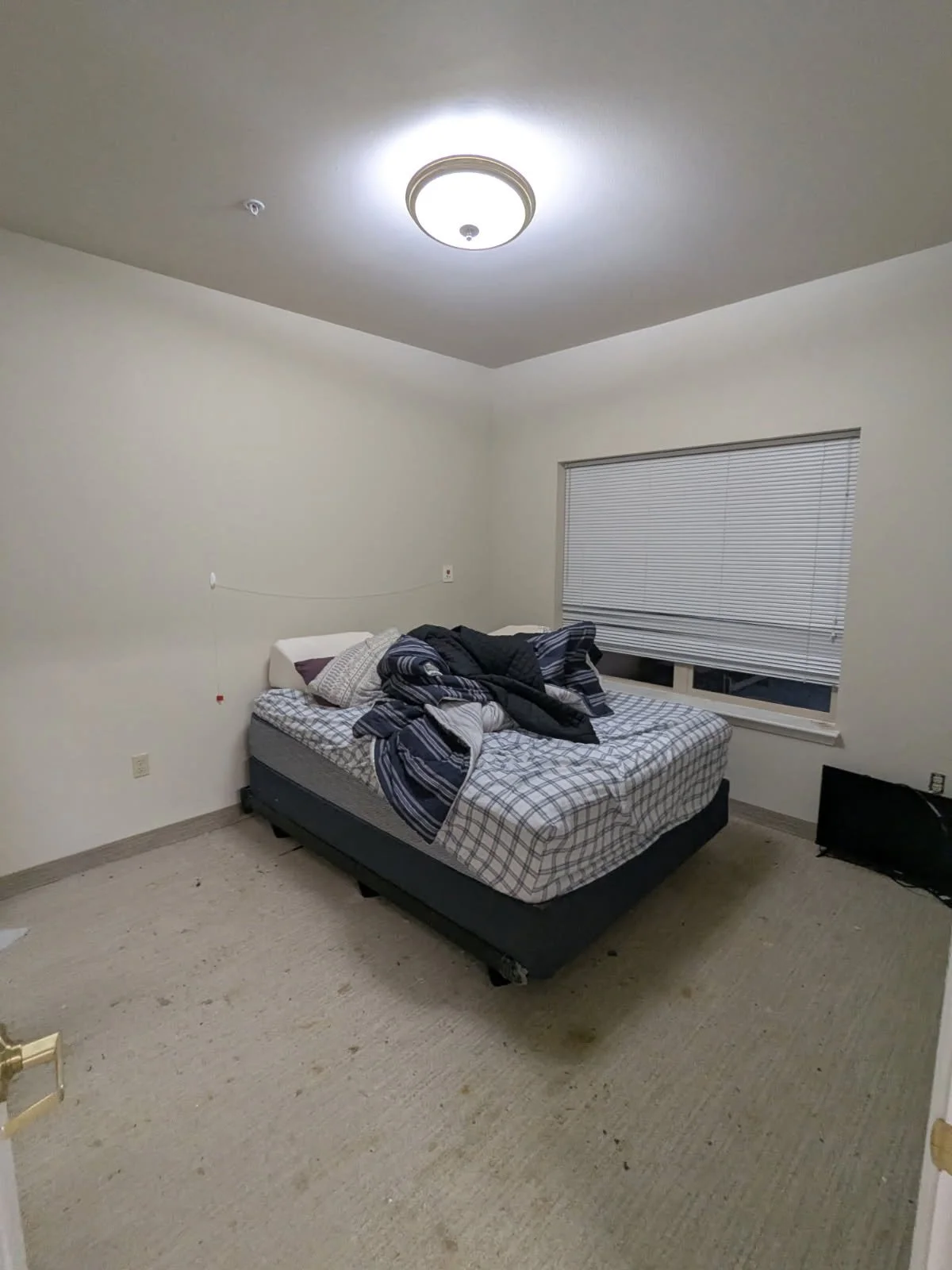 Unmade bed with wrinkled checkered sheets and crumpled blankets, in a plain bedroom with a window and beige carpet.