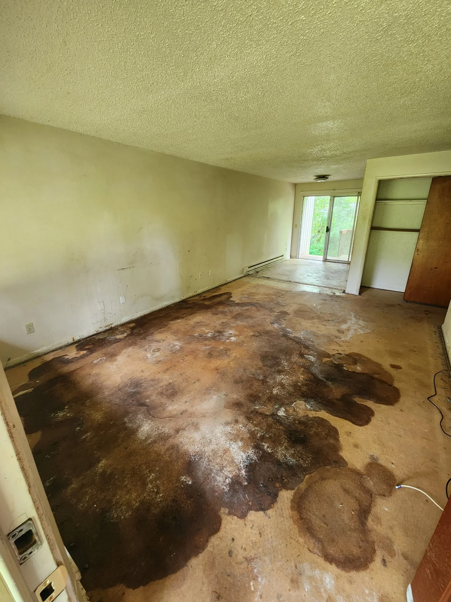 A room with a heavily stained and damaged carpet or floor, with large dark patches and discoloration. The walls are light-colored and the room is lit coming from a sliding glass door leading to a balcony outside.