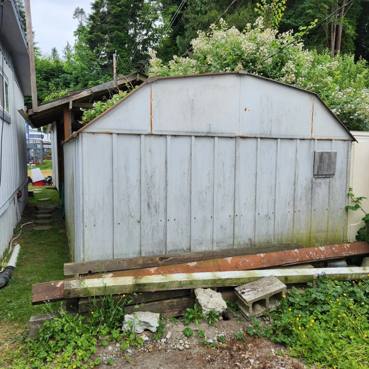 backyard shed before