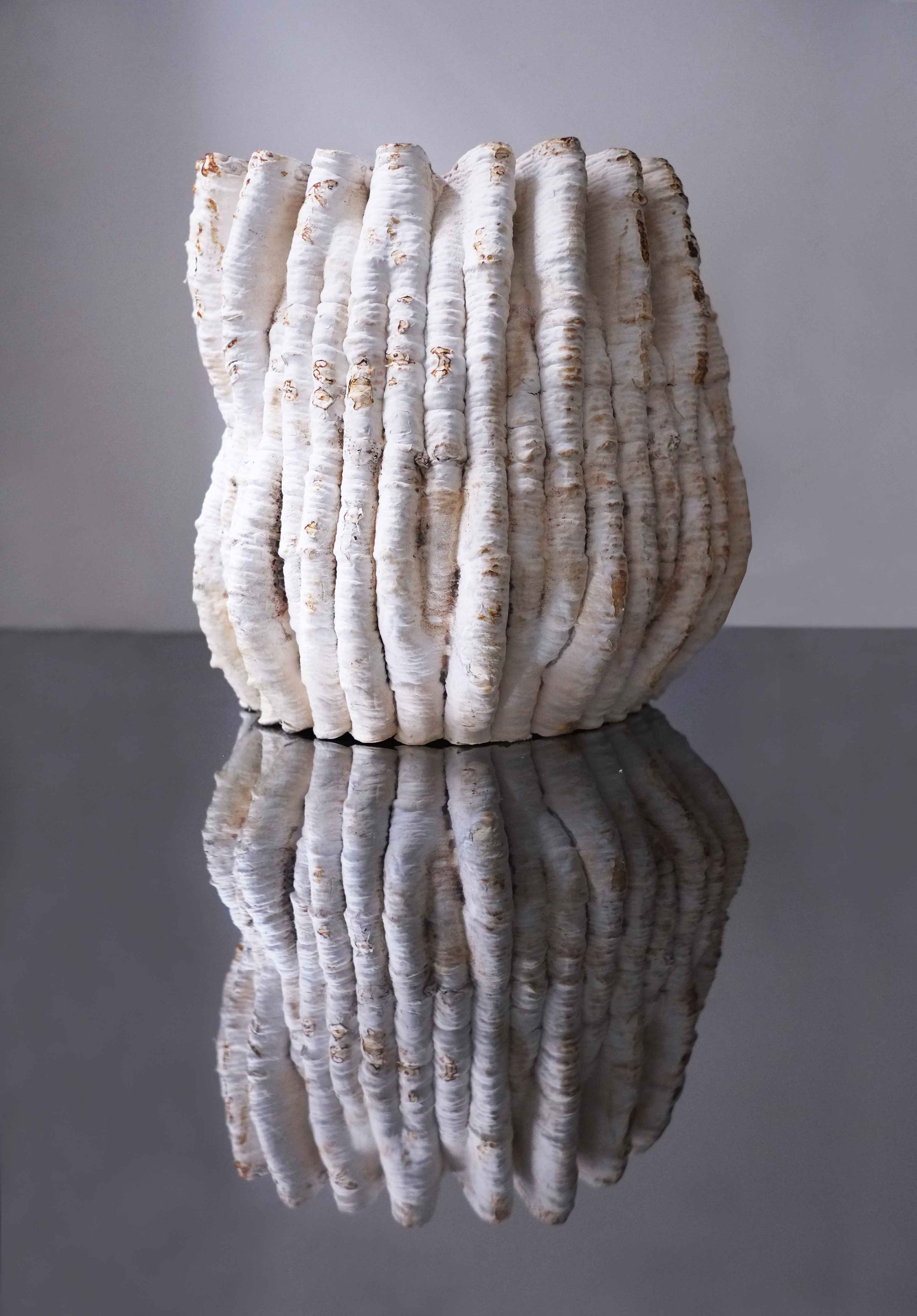 CORAL SCULPTURE_1_low.jpg