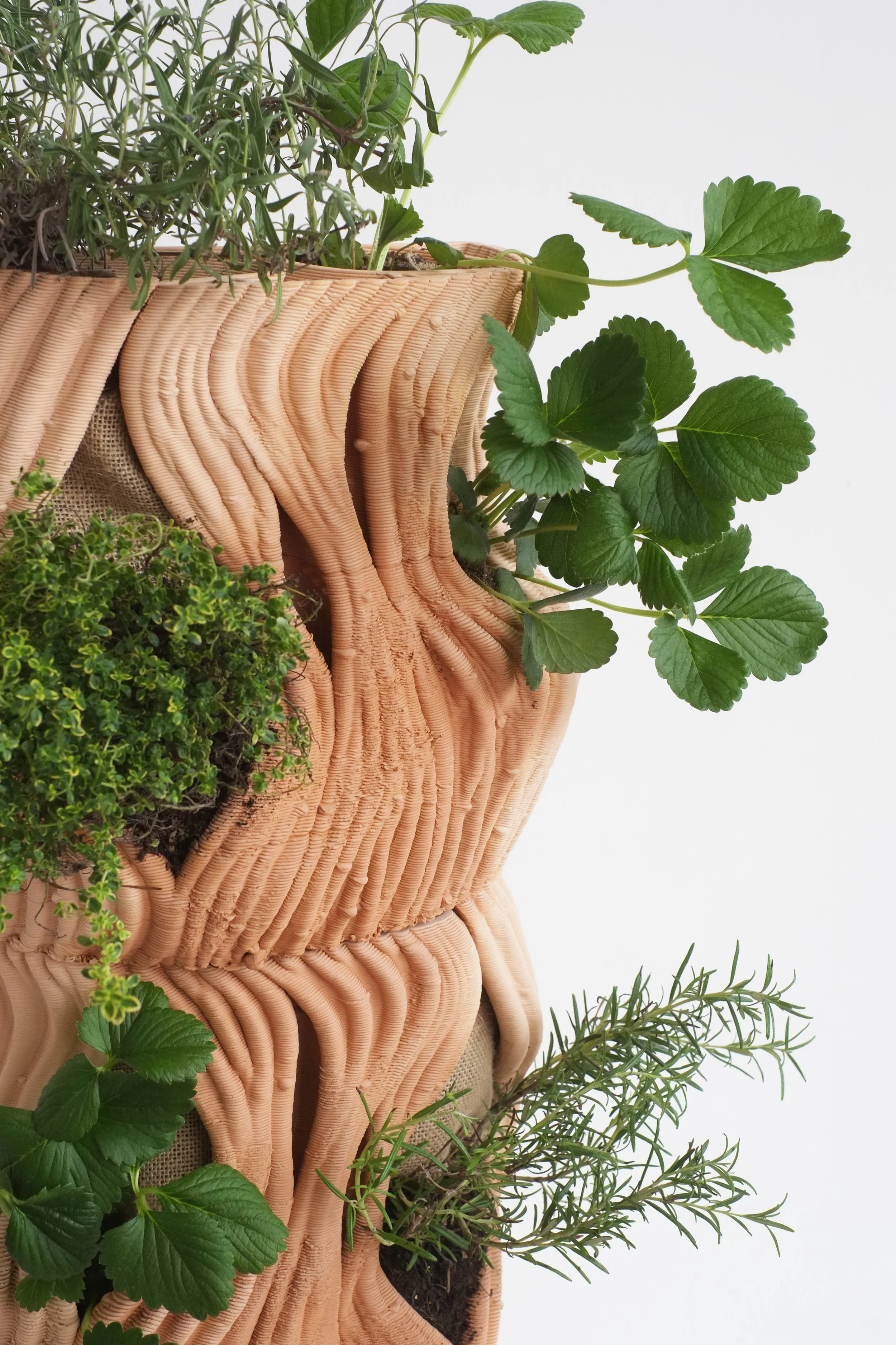 Close-up of a textured, peach-colored, tiered planter with various green herbs and plants growing out of it, including strawberry plants and rosemary, against a white background.