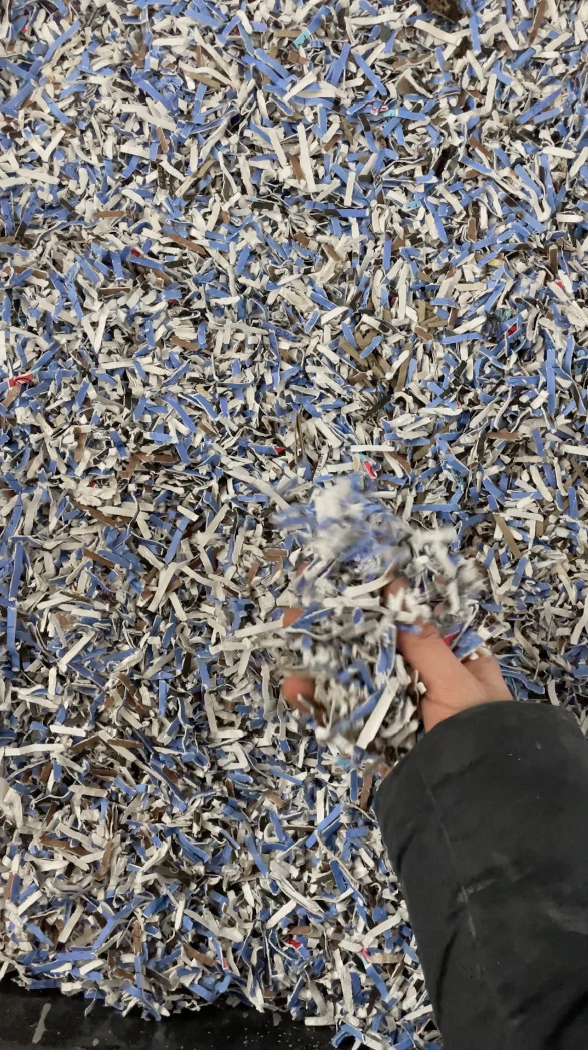 Person's hand holding shredded paper in front of a large pile of shredded paper.