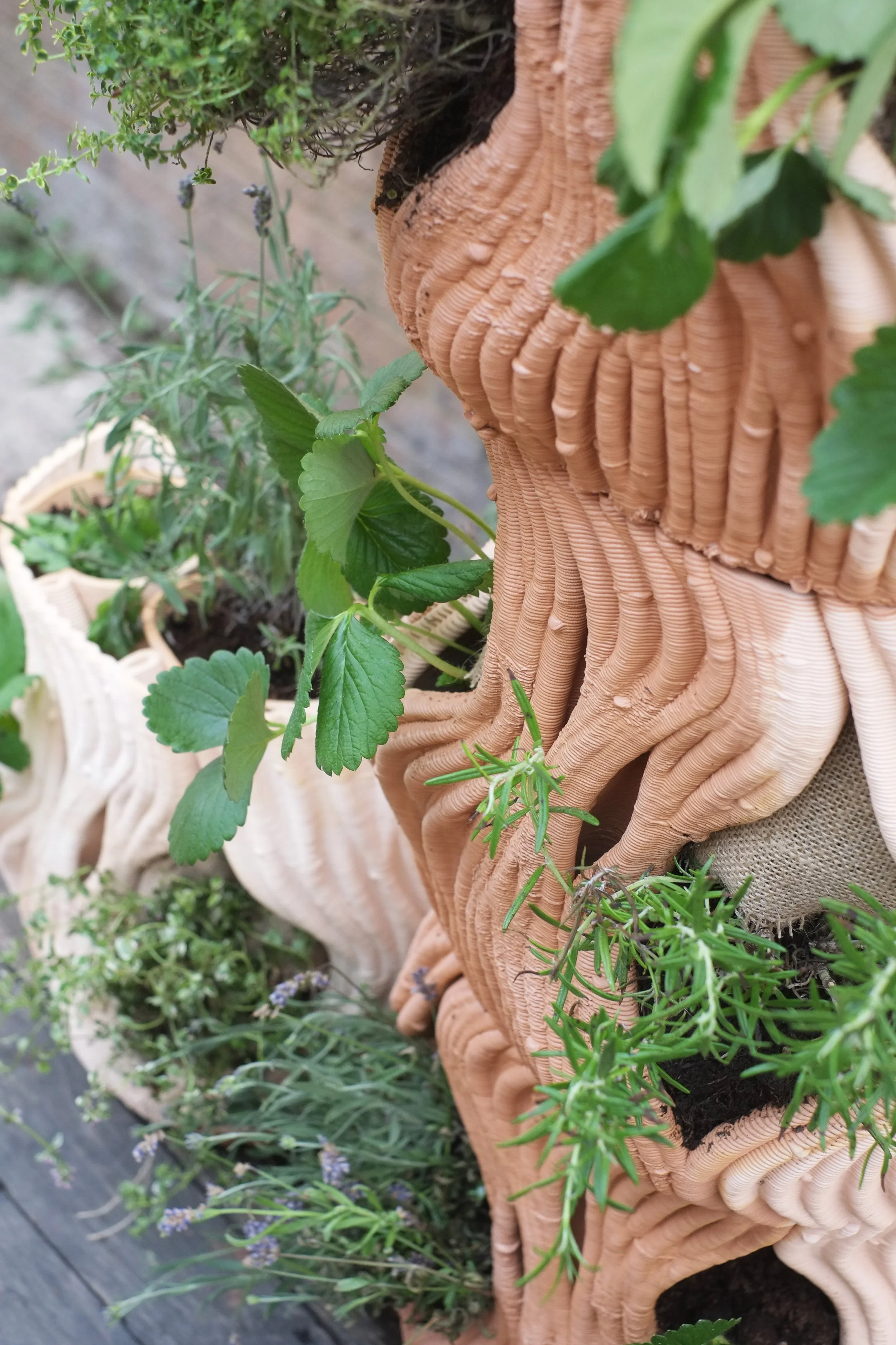 Close-up of a textured, beige ceramic flower-shaped pot with green leafy plants growing out of it.