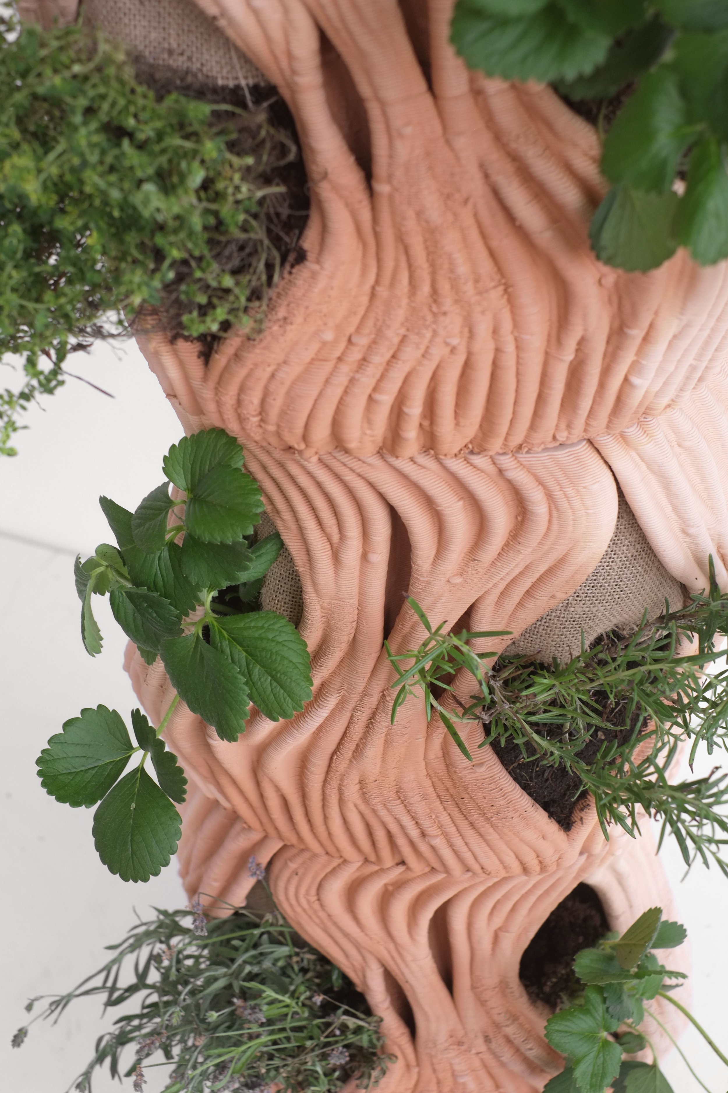 Remedy Garden Blast x Baum&Leahy