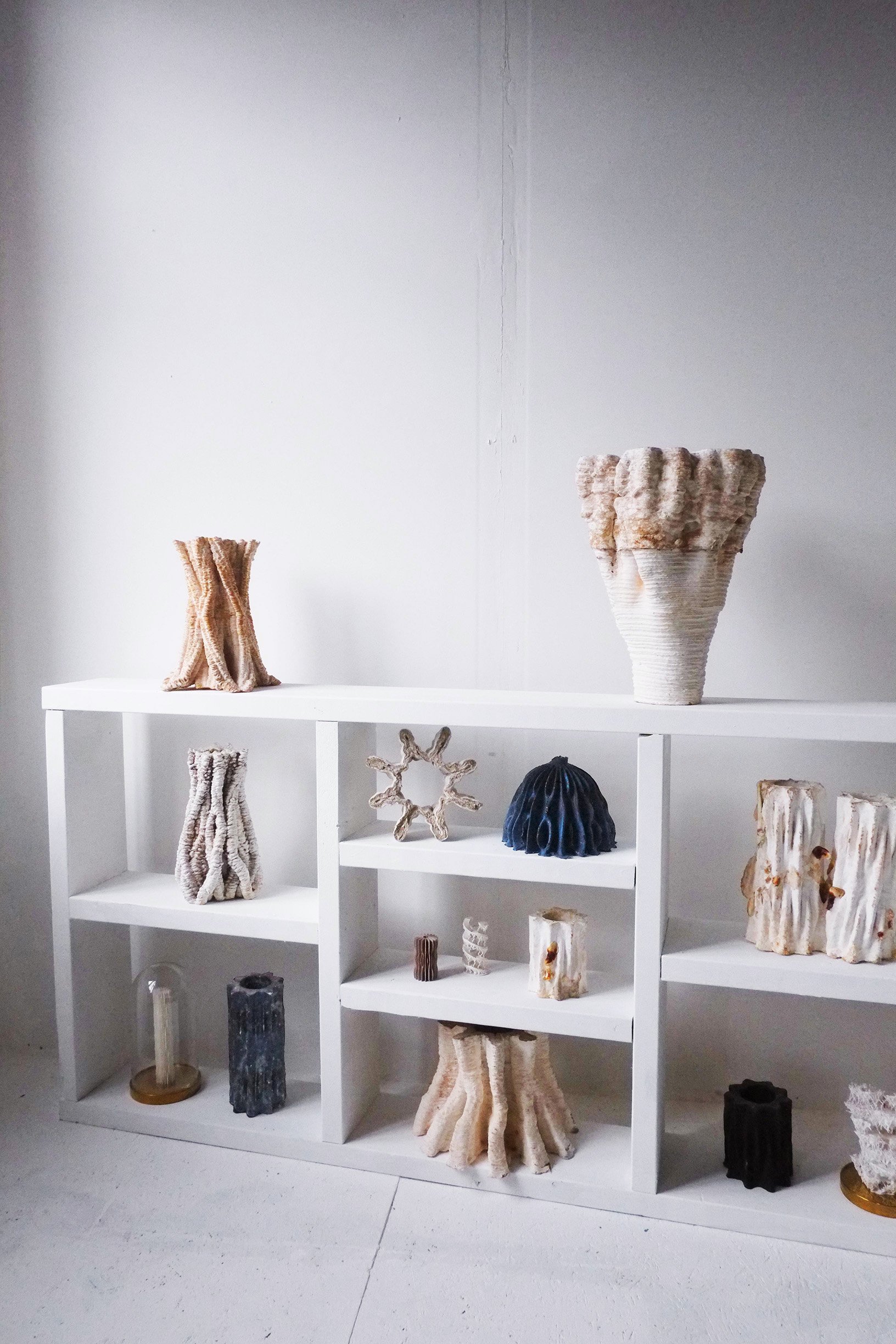 Blast Studio _ Cabinet of Curiosities 2_c.Blast Studio.jpg
