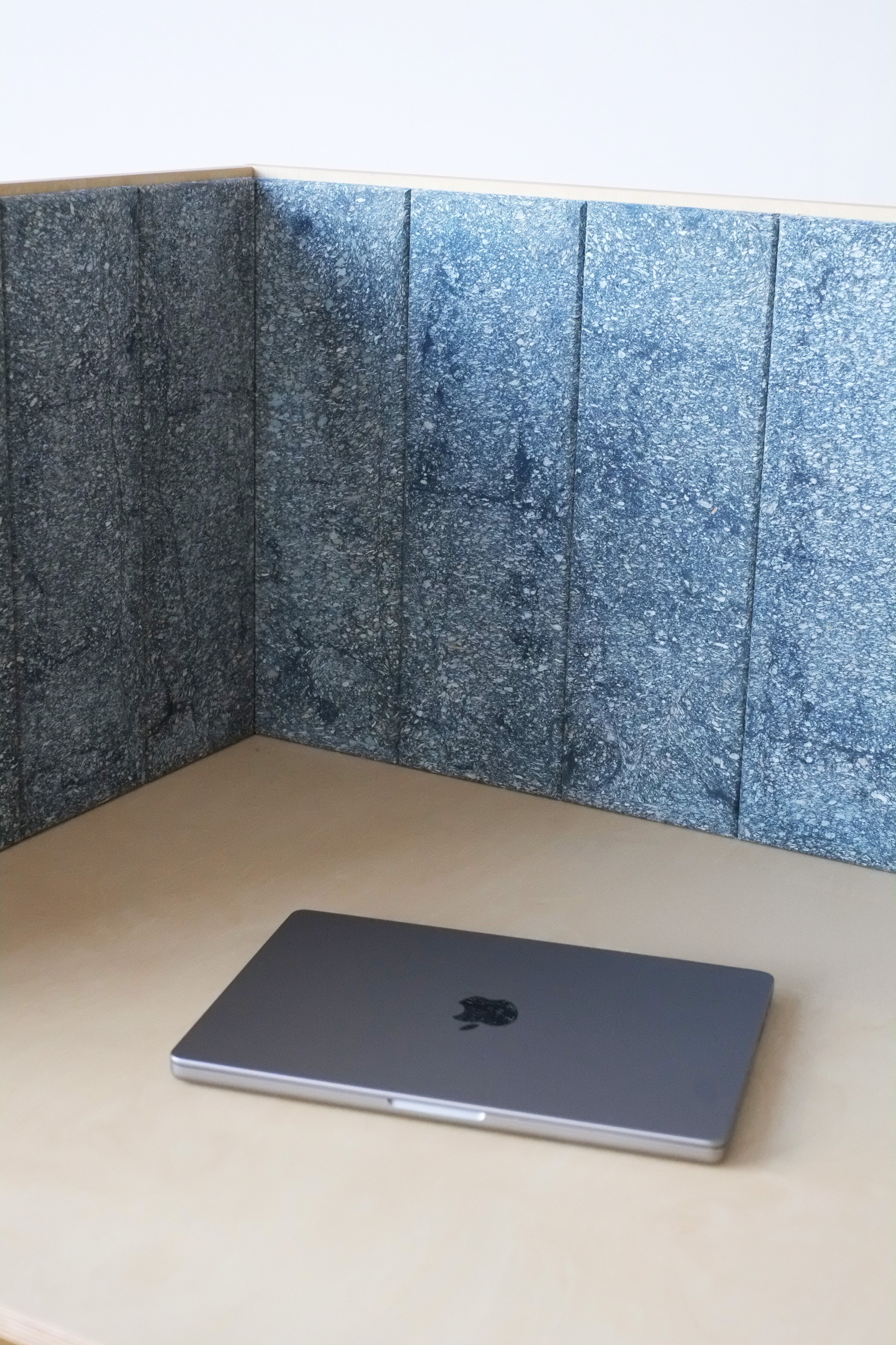 Blast x OpenDesk - Privacy desk - zoom 2.jpg