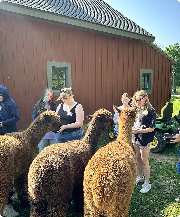 Alpaca Farm Experience | Nature-Based Youth Wellness — Kindling Minds