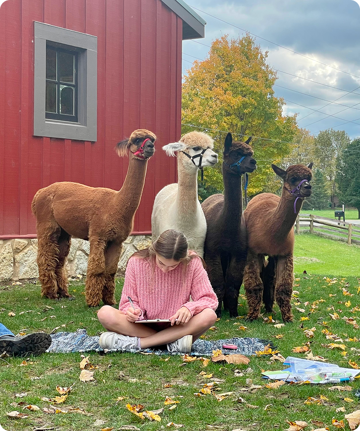Alpaca Farm Experience | Nature-Based Youth Wellness — Kindling Minds