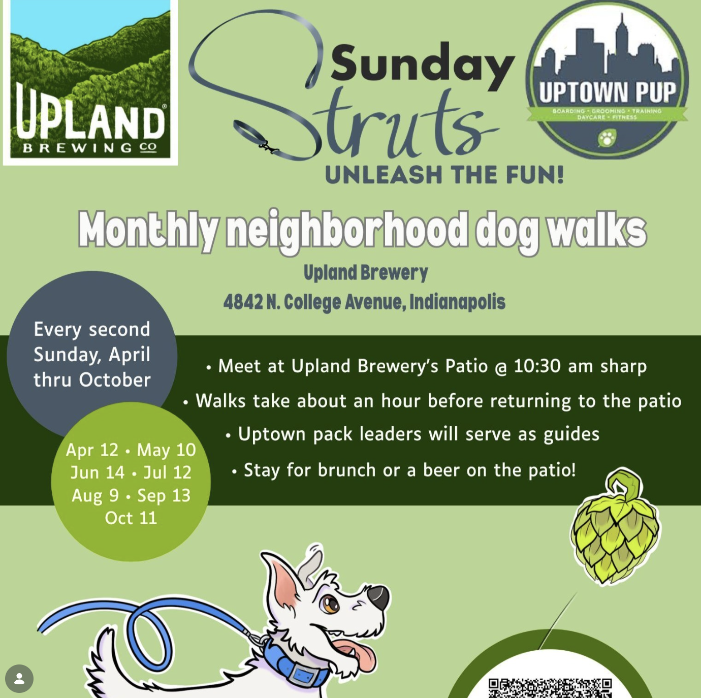 Sunday Struts with Uptown Pup!