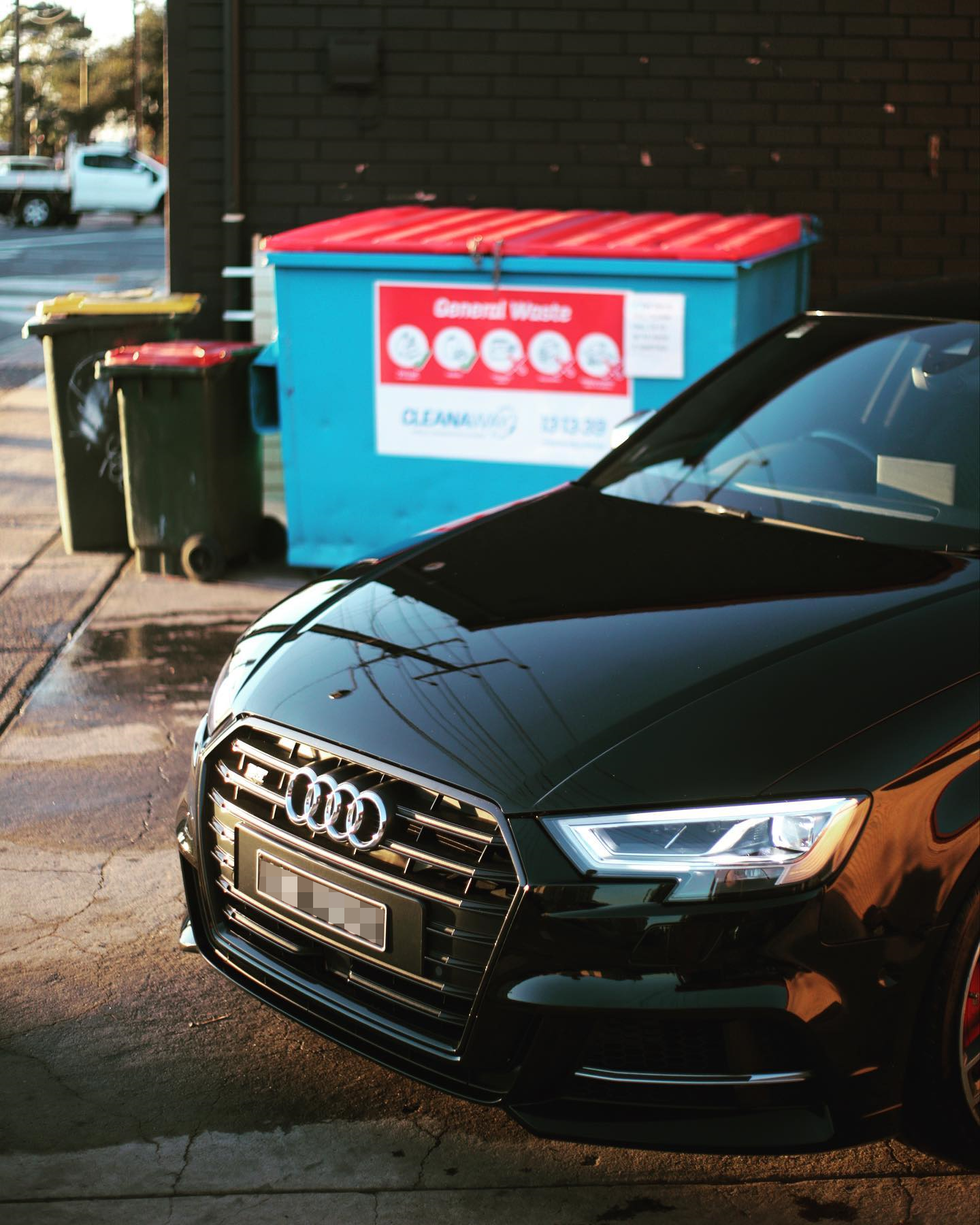 Audi S3 Paint Correction &amp; Pre-Sale Detail