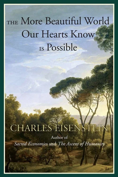 book9.+the+more+beautiful+world+our+hearts+know+is+possiblejpg.jpg