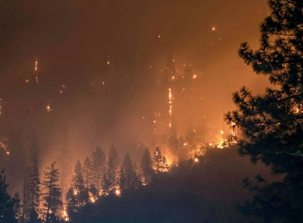 The Earth Is Literally Burning, Do Your Part