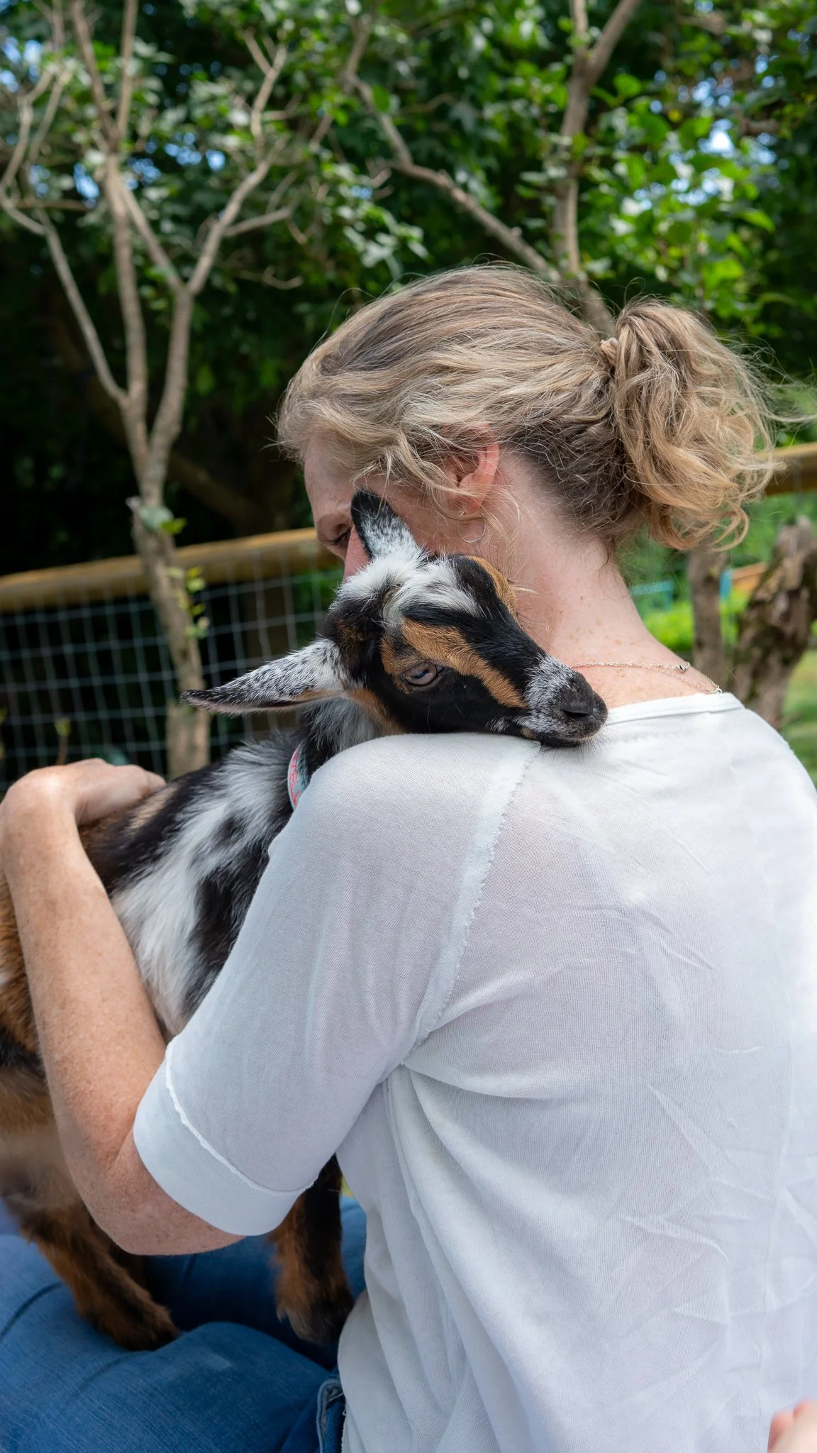 A female client sitting on a table outdoors, cuddling a black, white, and tan baby goat, with trees and a wire fence in the background.