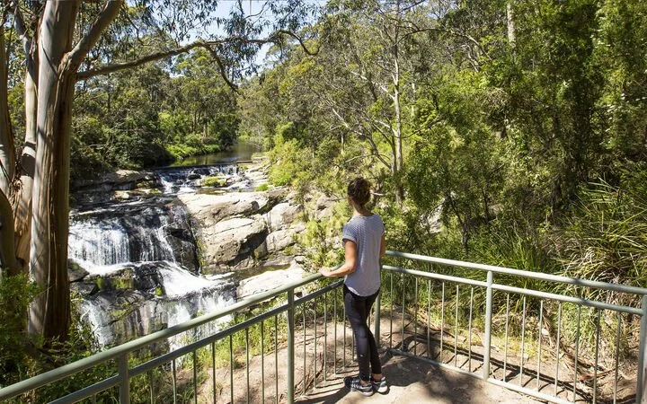 A woman standing on a viewing platform overlooking a small waterfall and stream surrounded by trees and green foliage.
