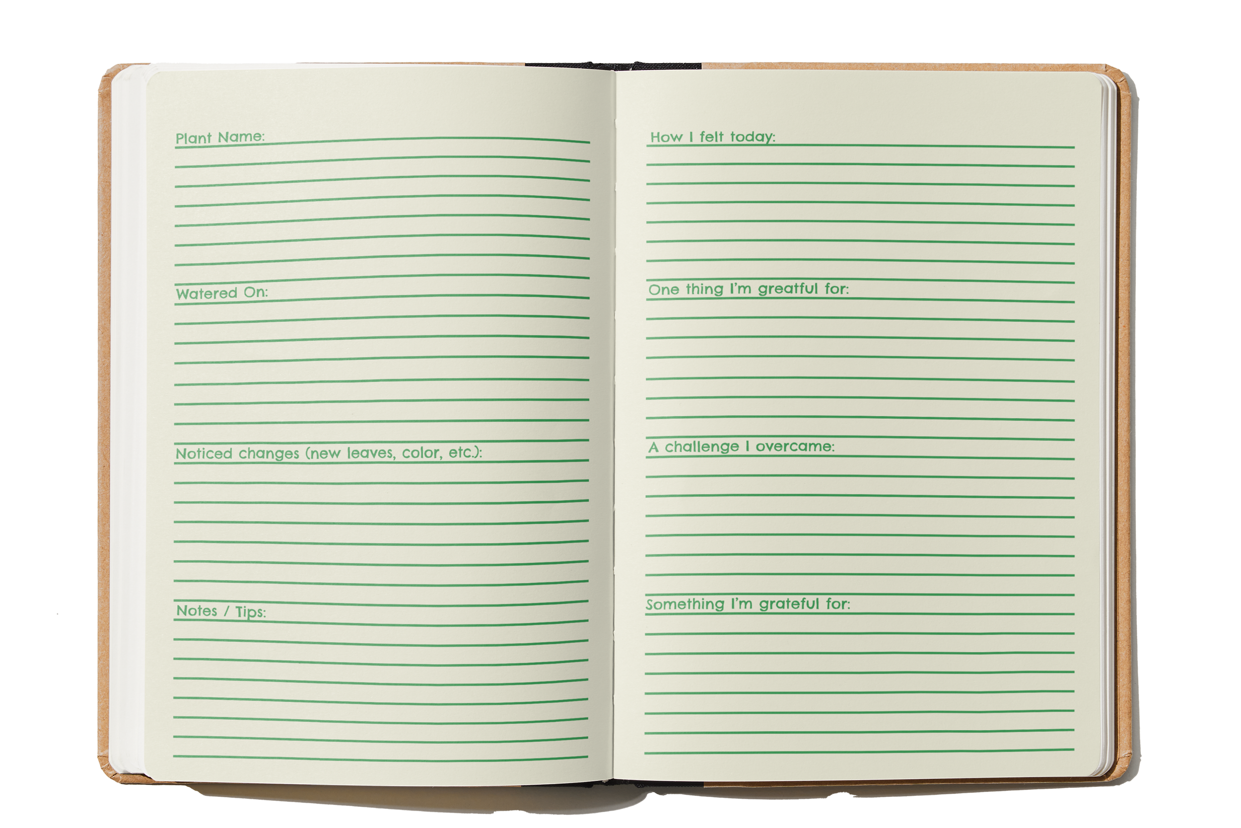 flourish open journal mockup.png