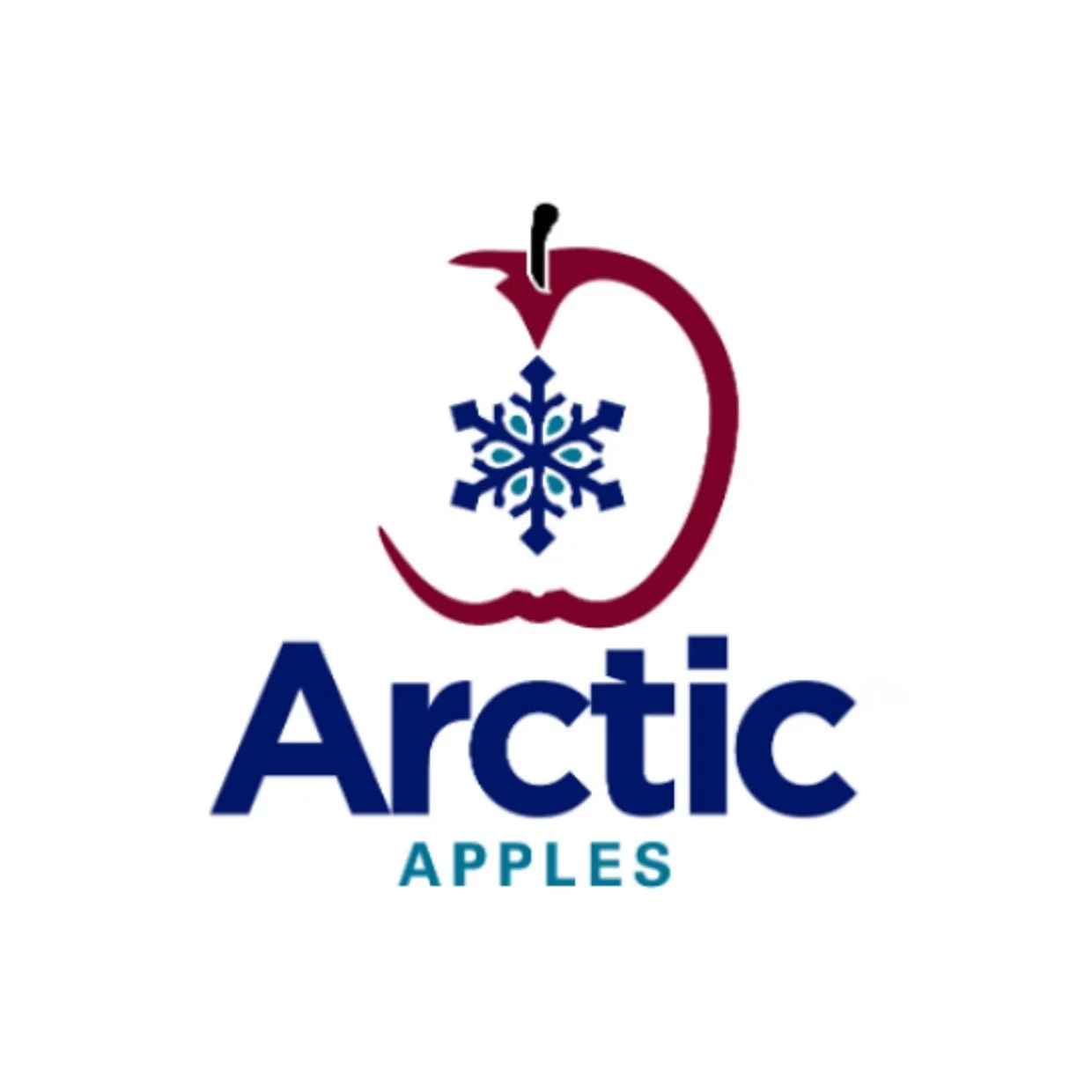 MM Logos Arctic.jpg