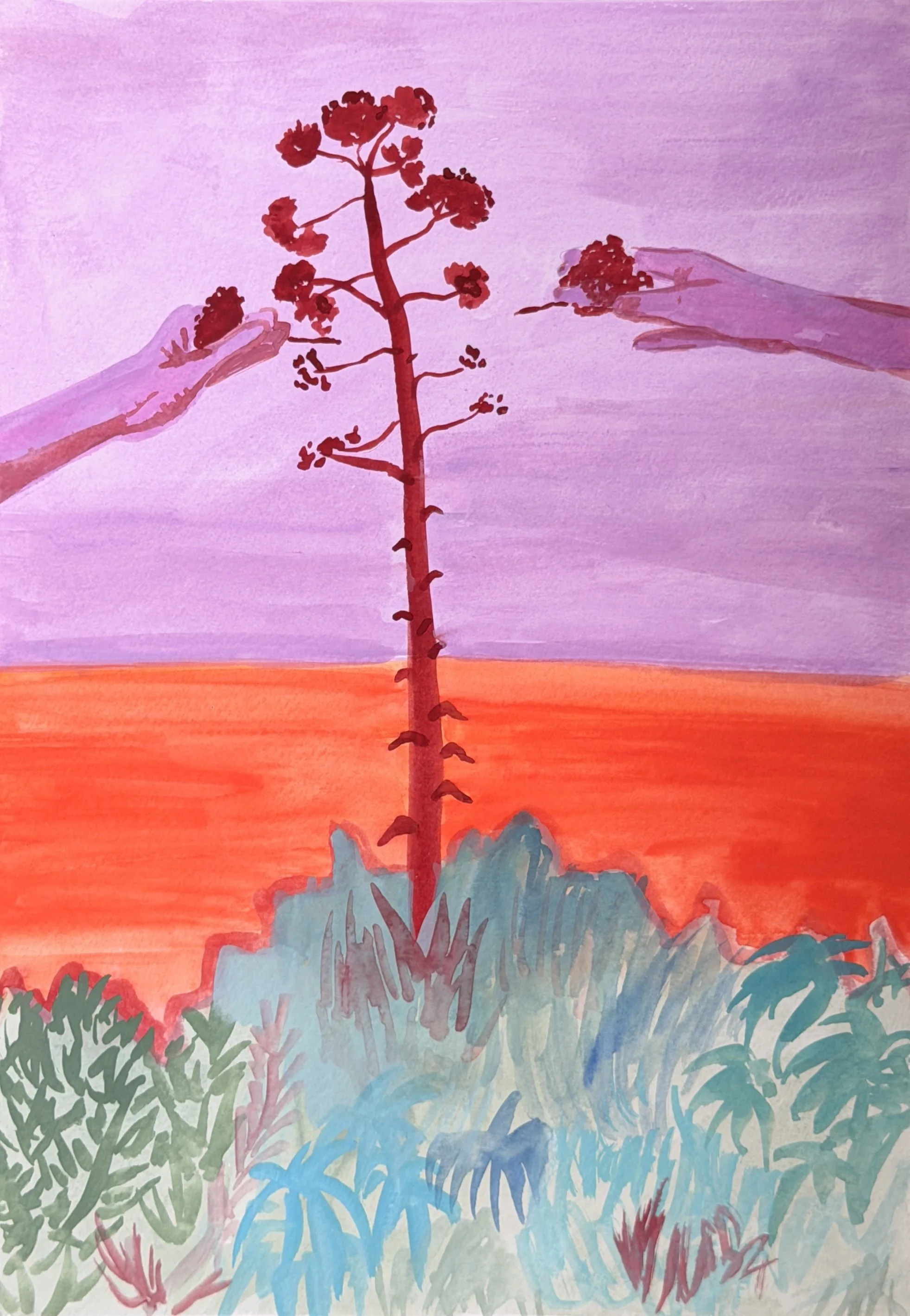 Azores 5: Flora - ORIGINAL