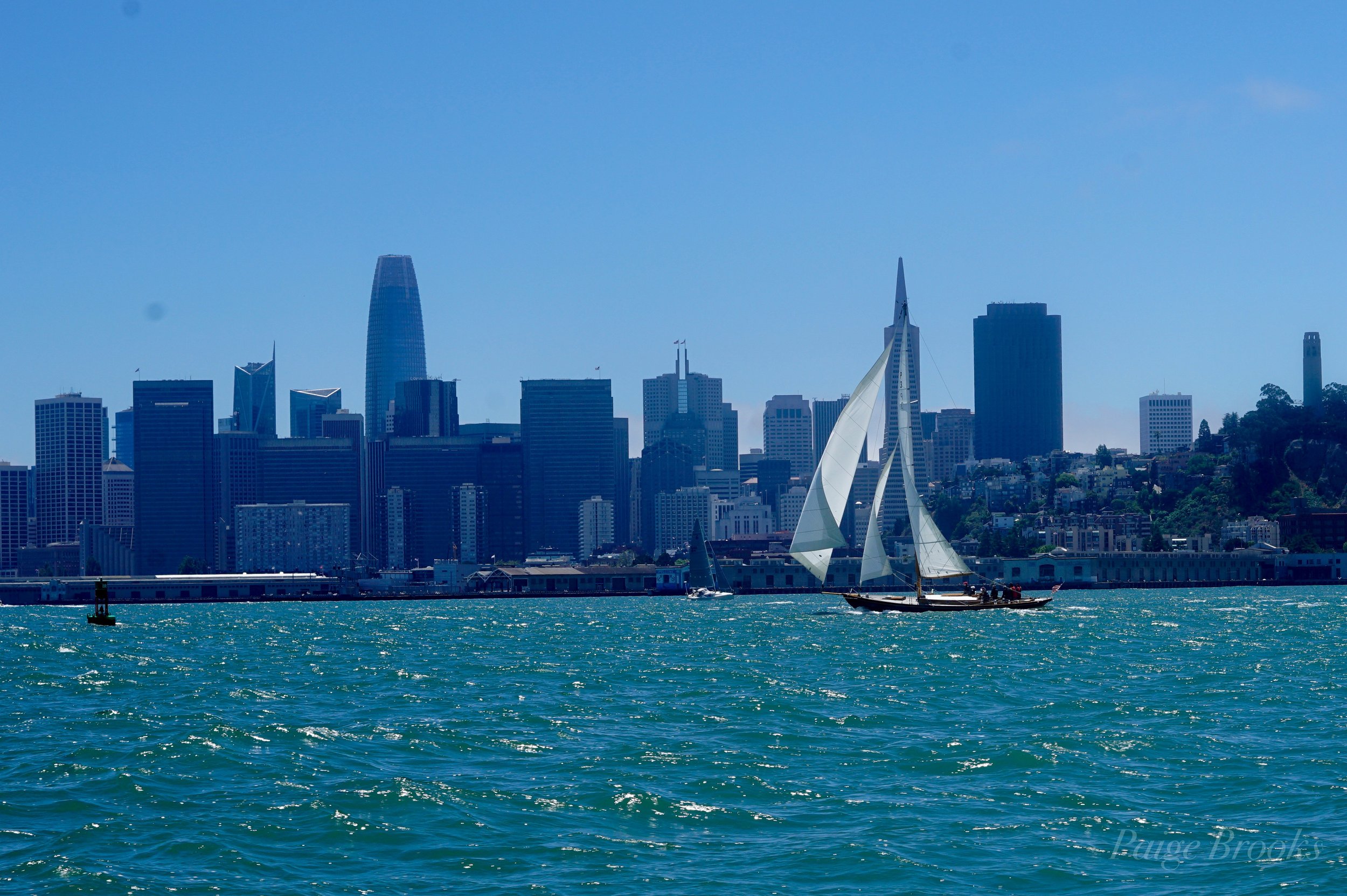 ORG_DSC00781.jpg