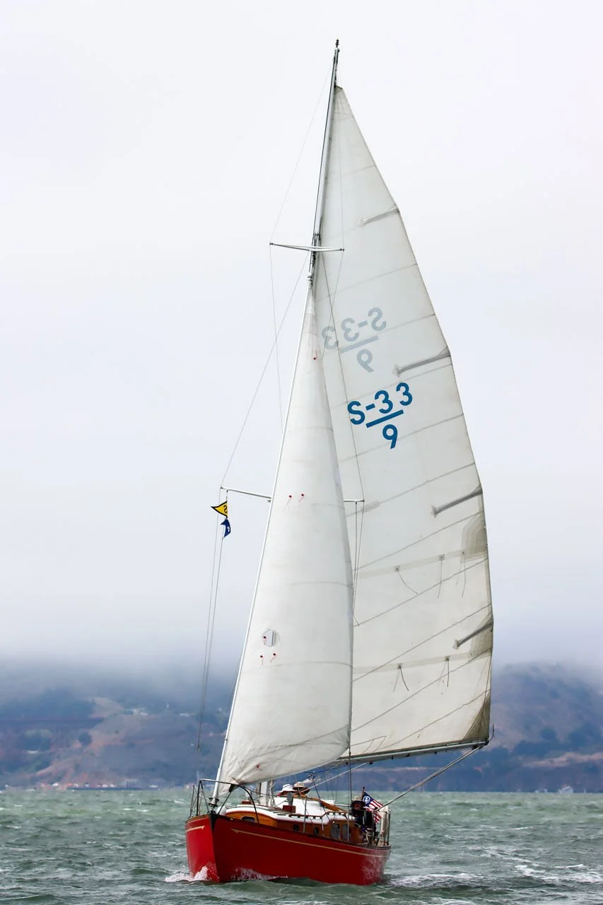 IMG_9650_2.jpg