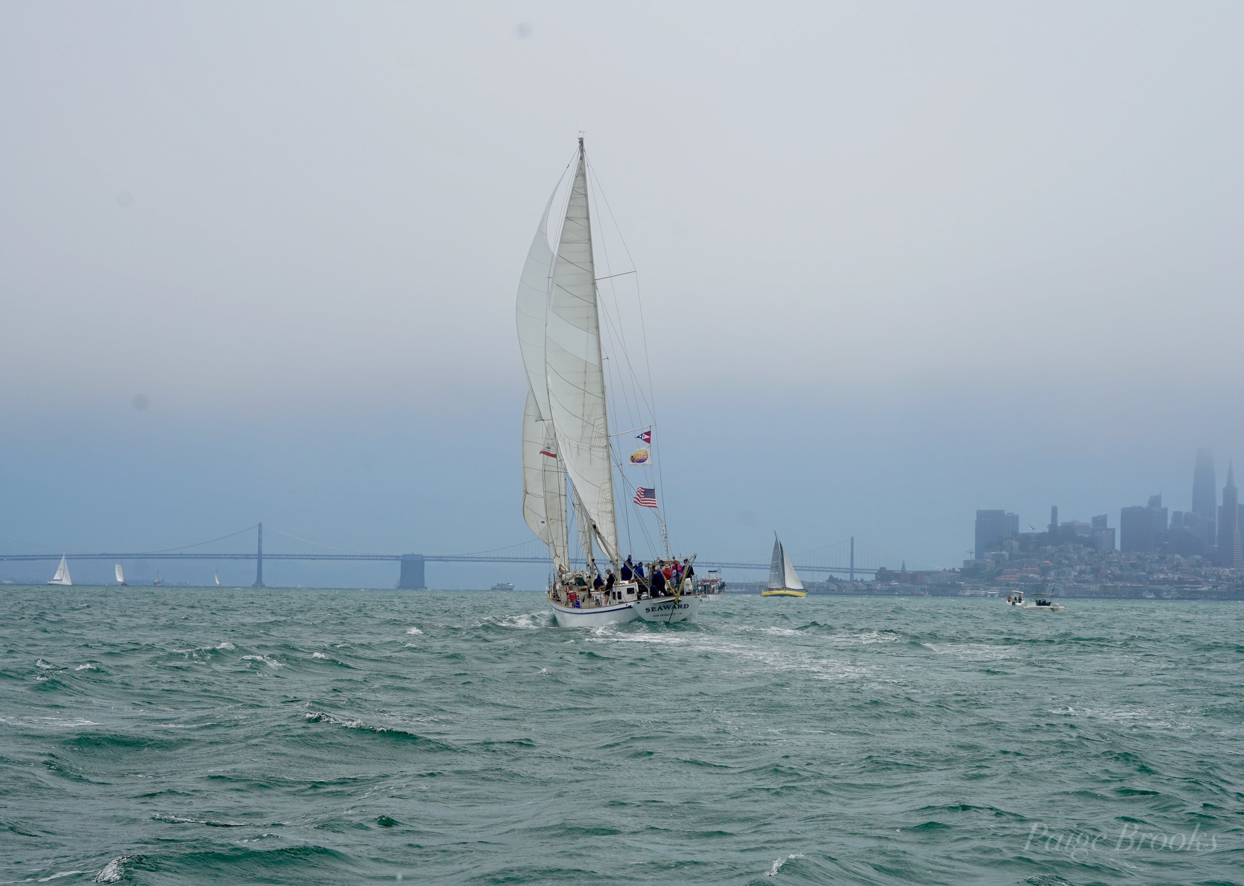 ORG_DSC00803.jpg
