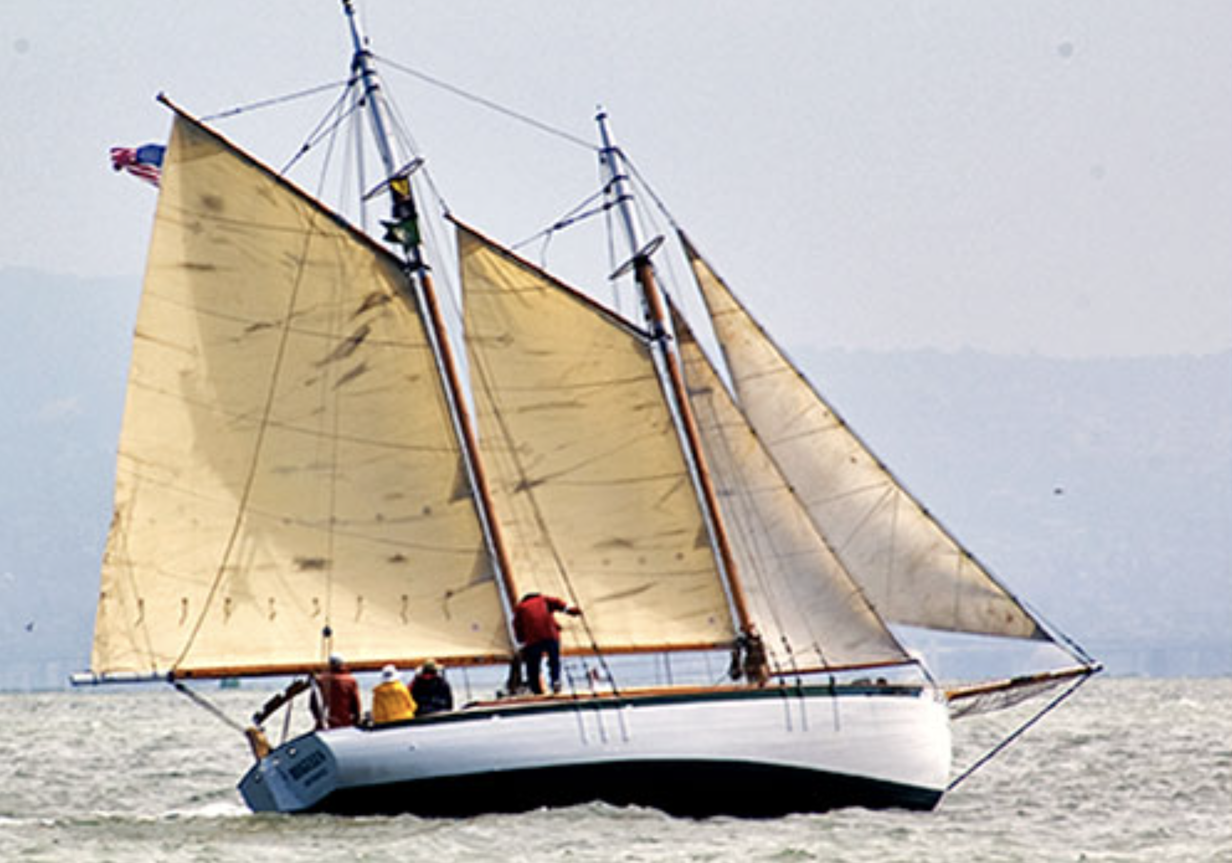 Regulus, Photo by Roderick Bauer