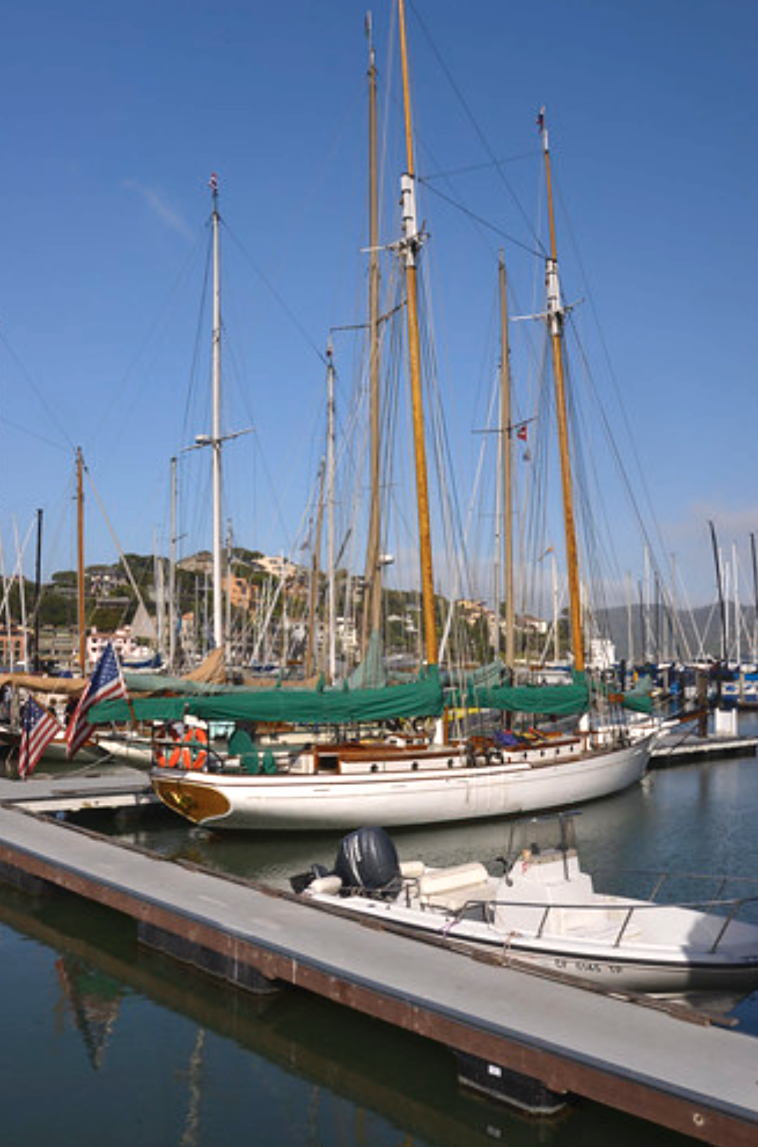 At the SFYC docks