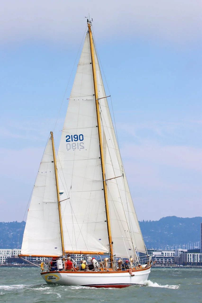IMG_9713_2.jpg