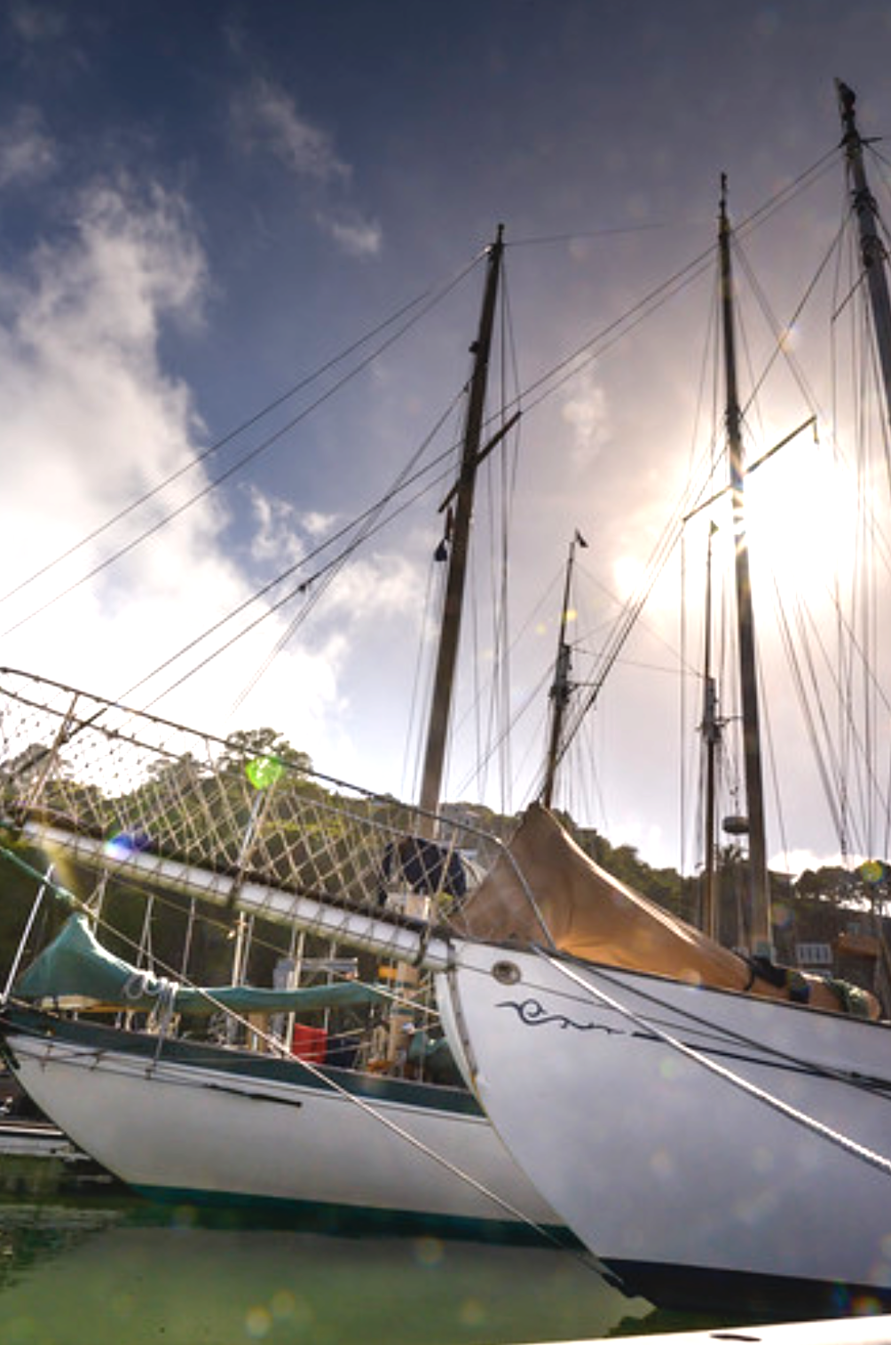 At SFYC docks