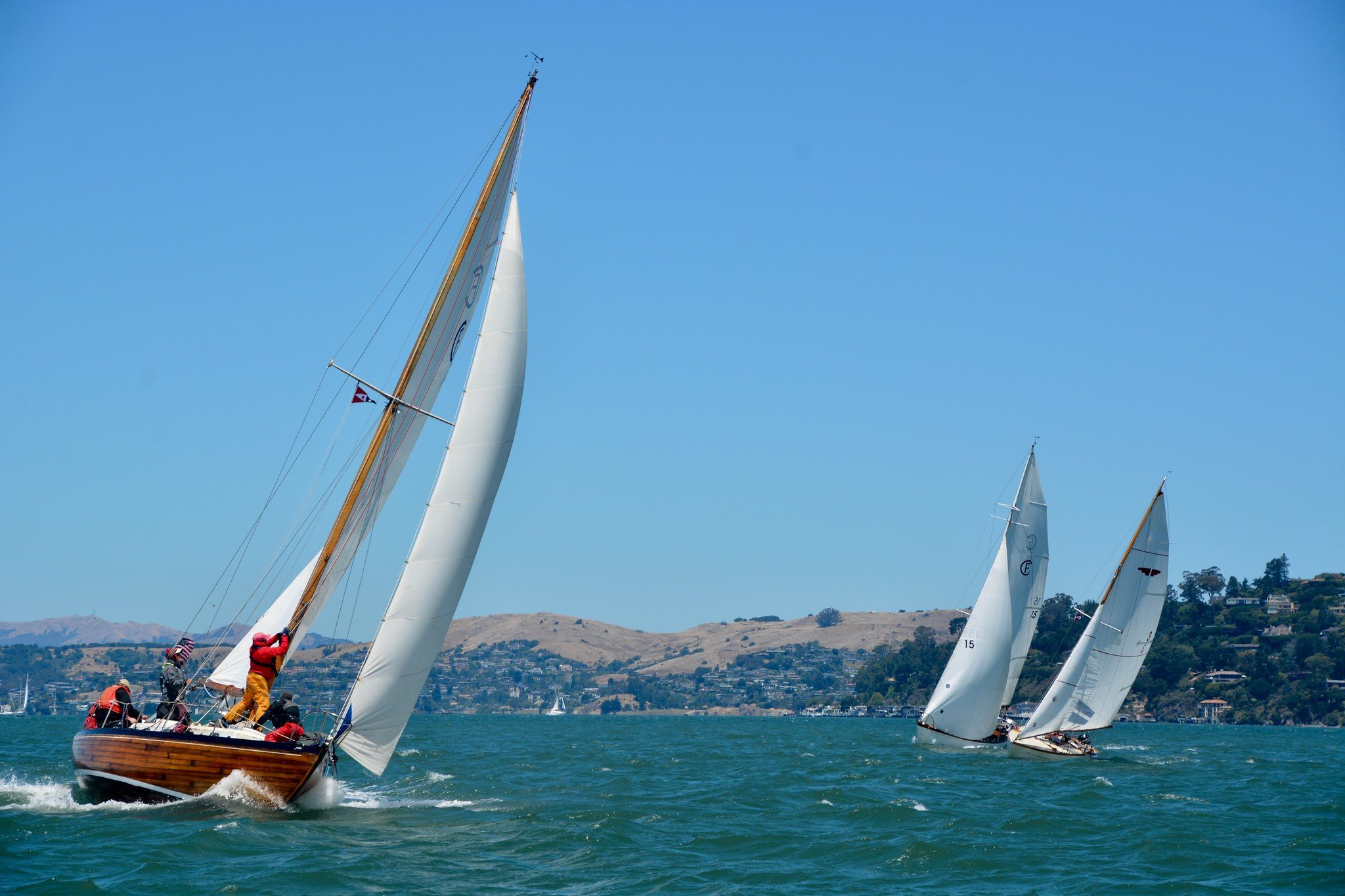 fullsizeoutput_8618-X4.jpg