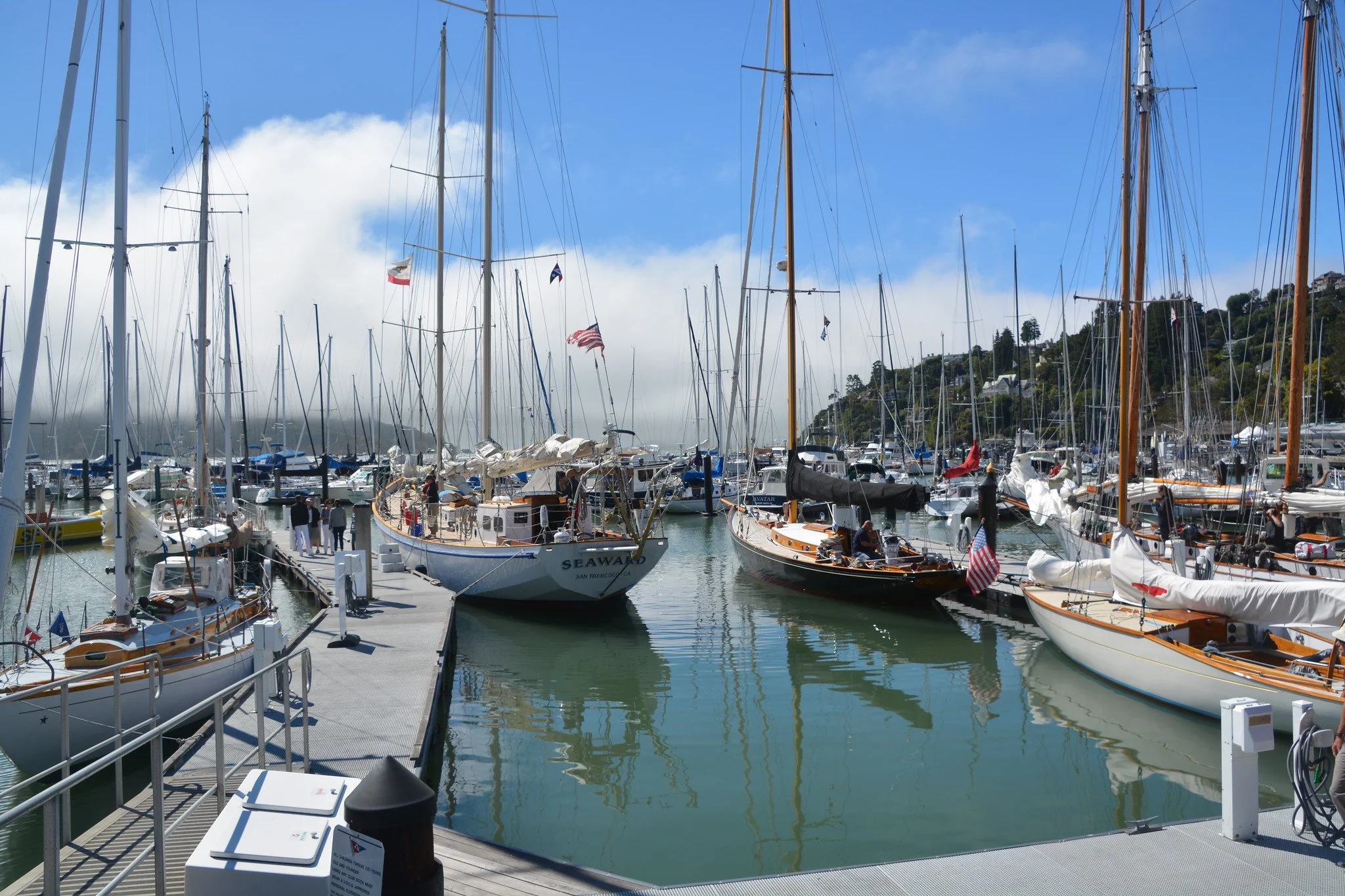 DSC_5741-X4.jpg
