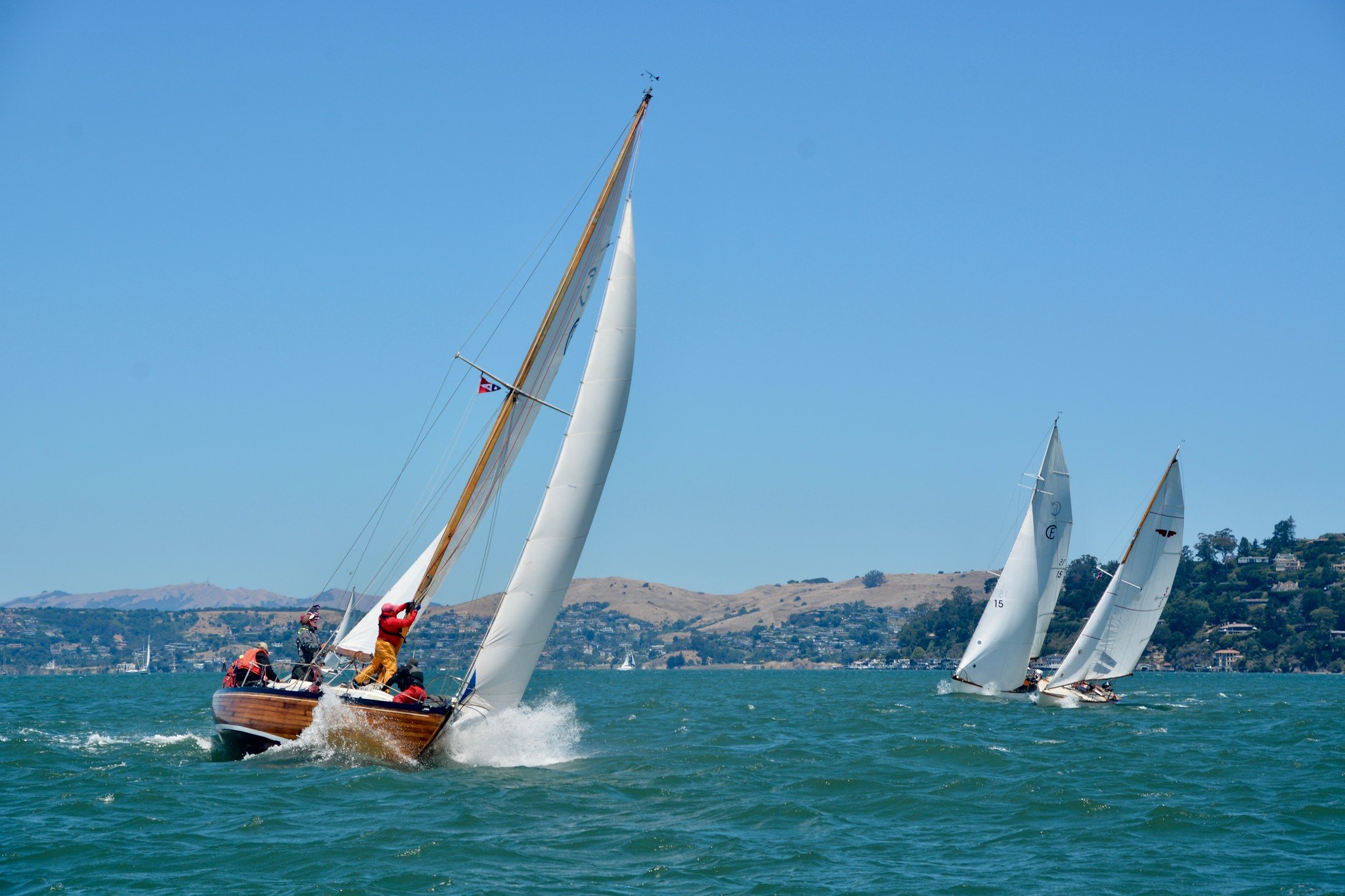 fullsizeoutput_8619-X4.jpg