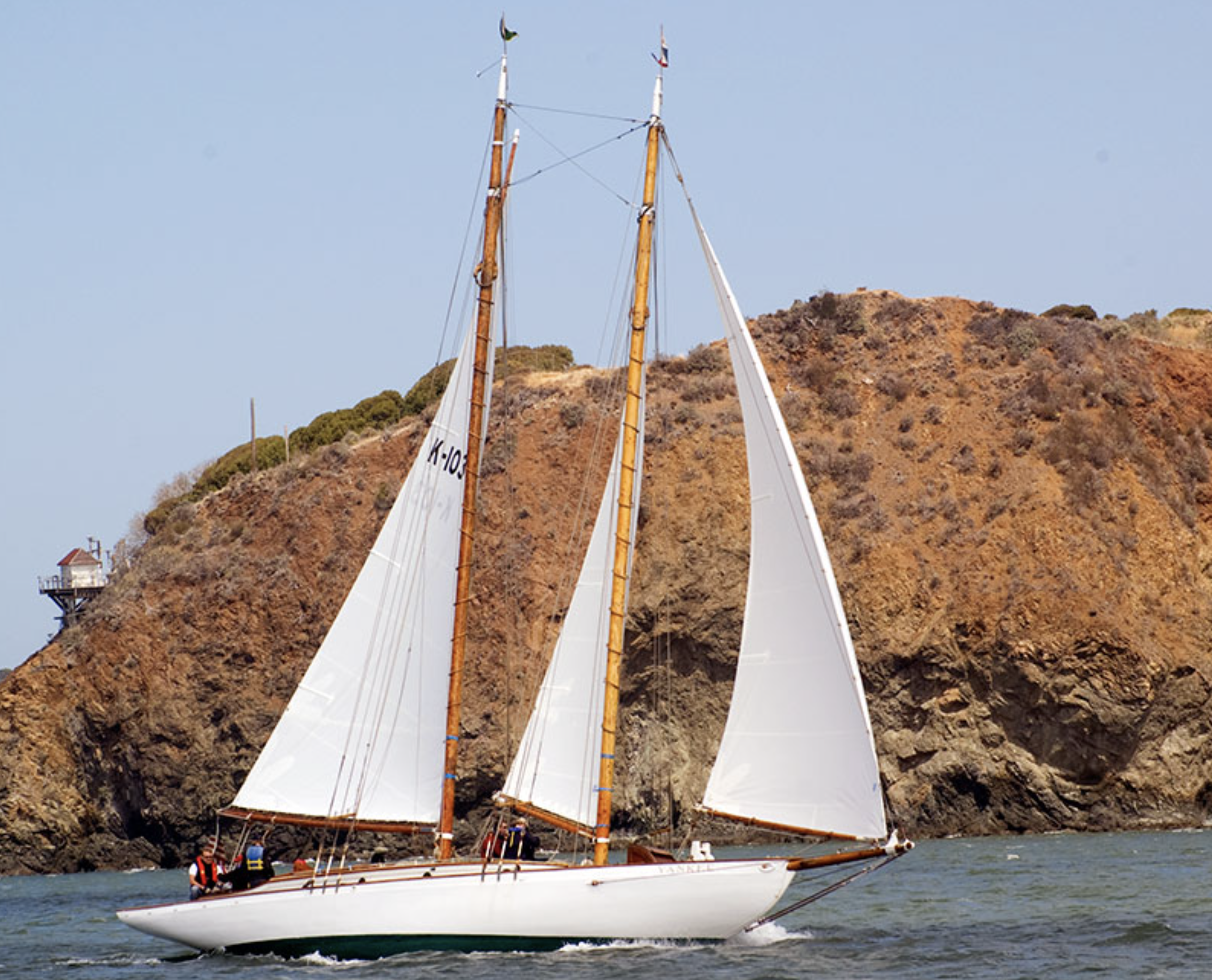 Yankee, Photo by Roderick Bauer