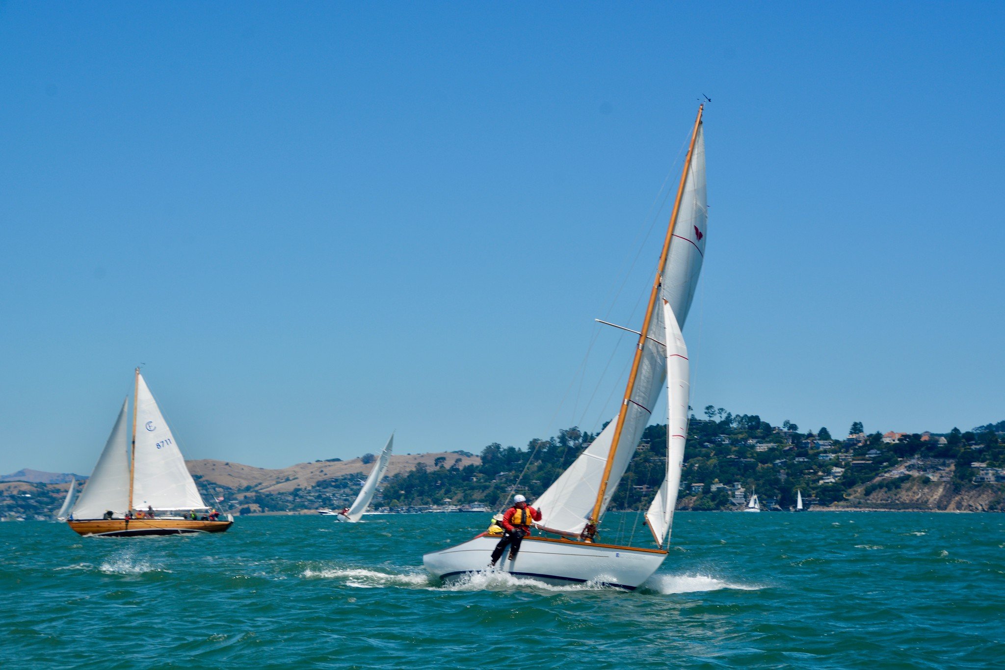 fullsizeoutput_8611-X4.jpg