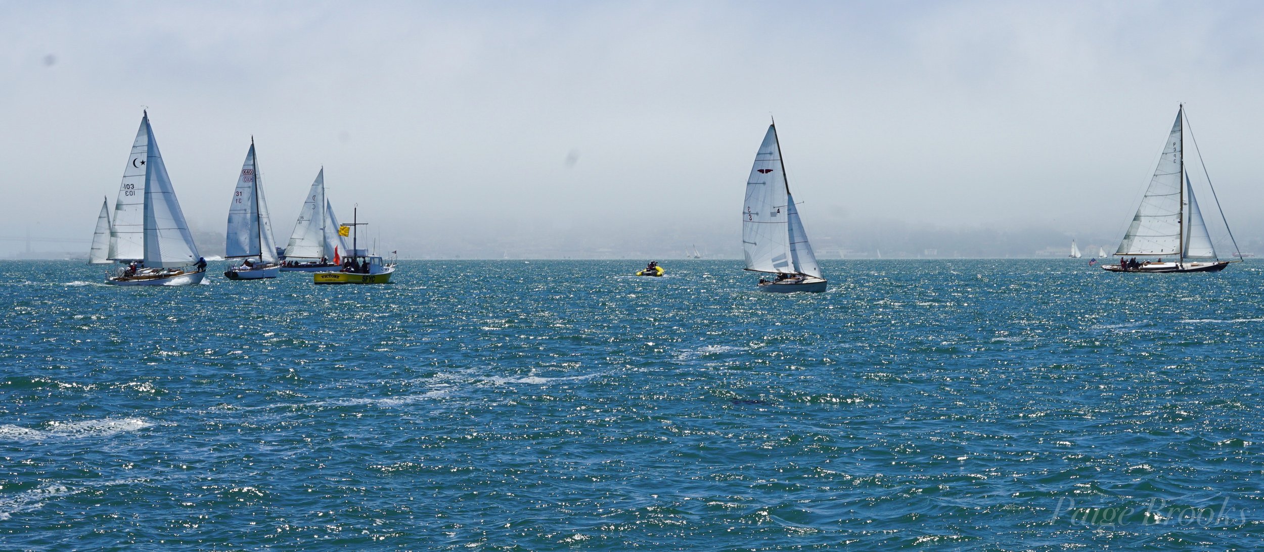 ORG_DSC00741.jpg