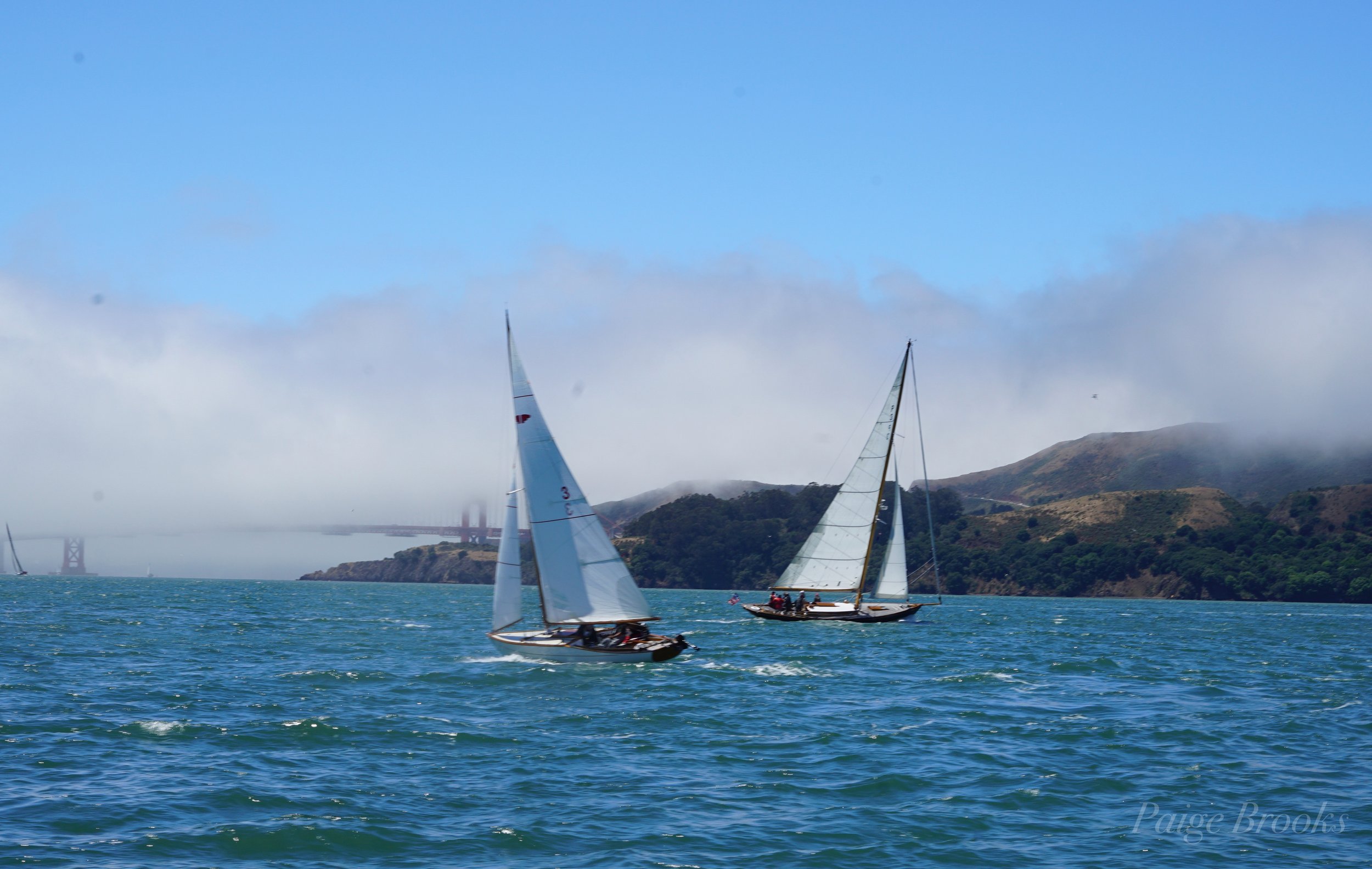 ORG_DSC00753.jpg