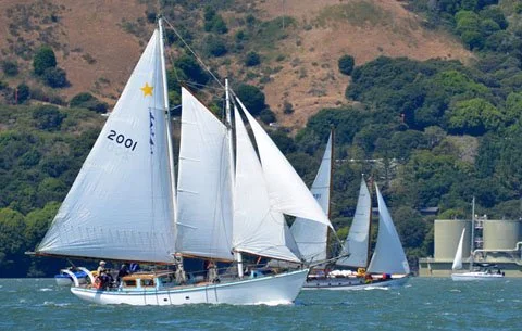 Gold Star and Elizabeth Muir in the race… ©2012 Roxanne Fairbairn/roxshots.smugmug.com